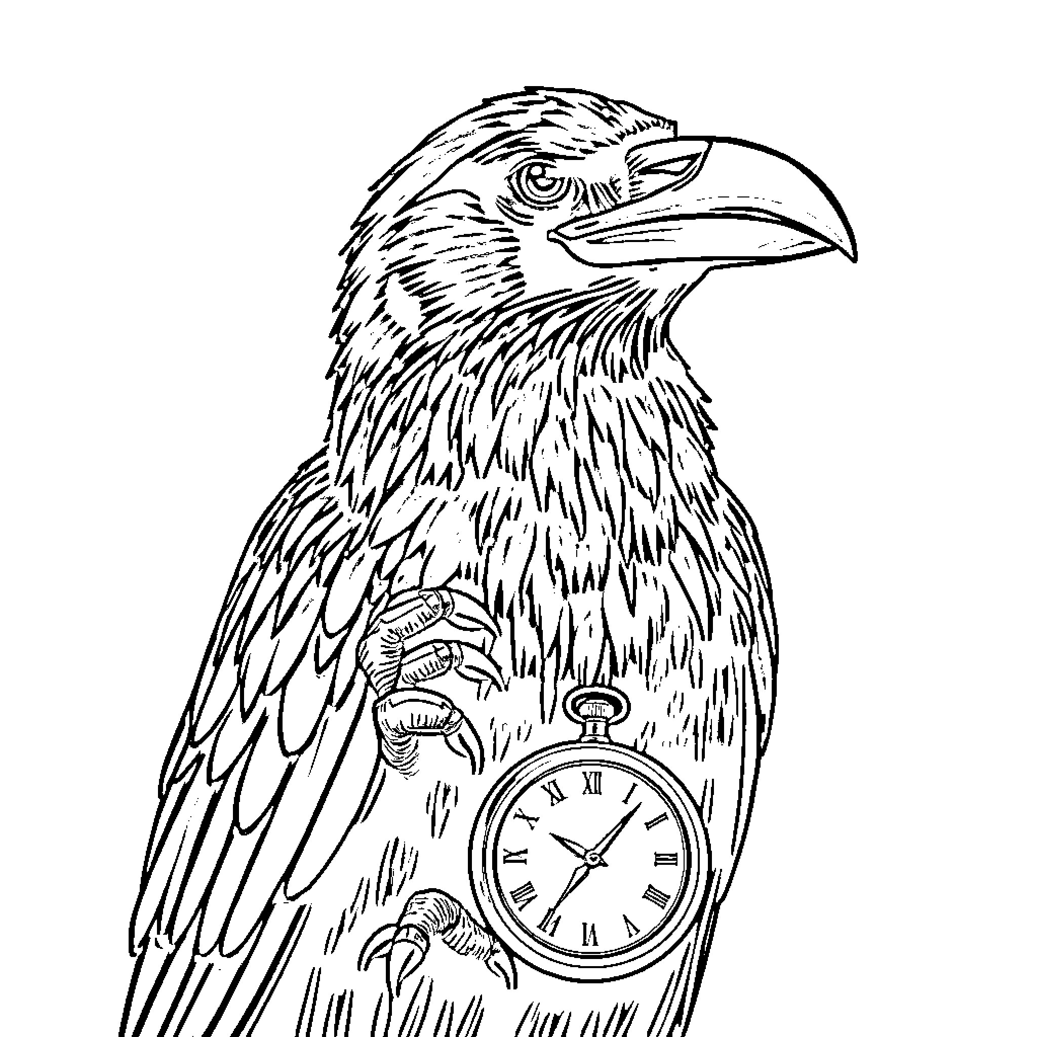 Raven with an Antique Pocket Watch Coloring Page (free black-and-white line drawing printable PDF for all, from beginners to advanced learners, including children, teens, adults, and seniors)