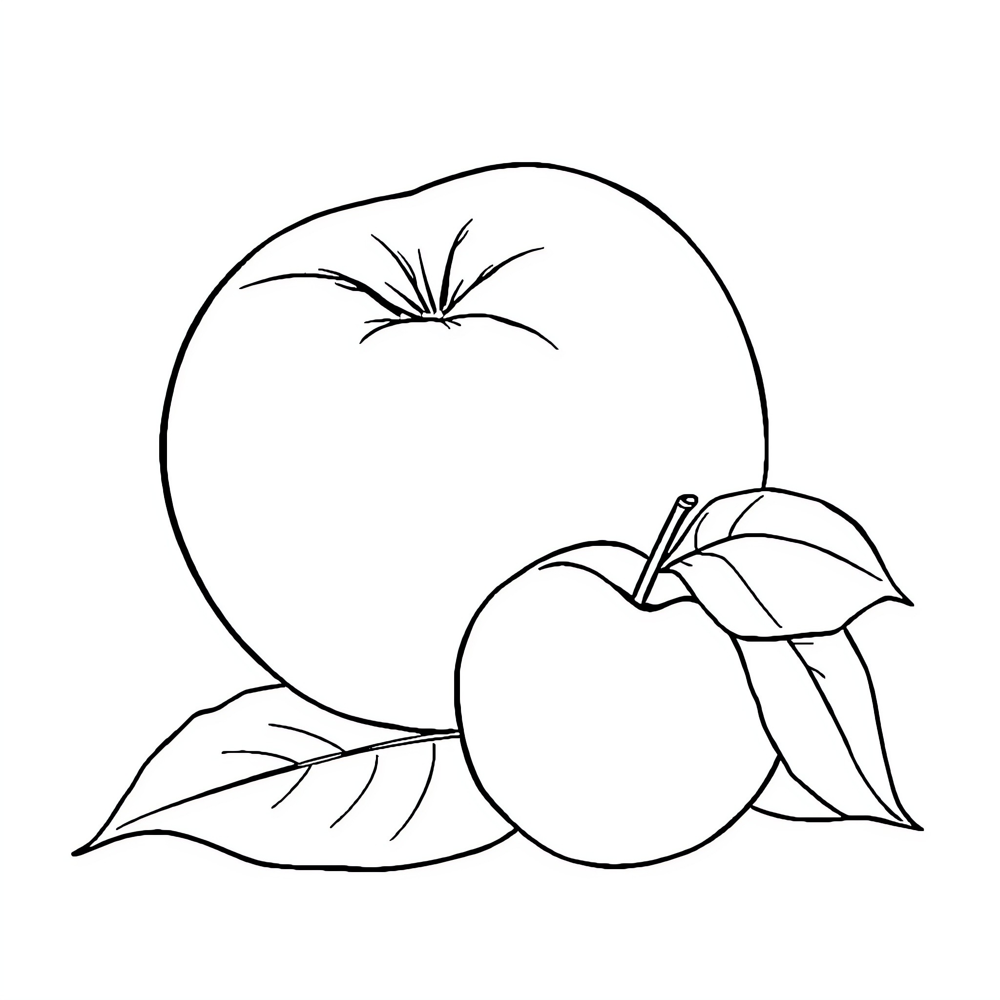 Peach with Apple in Outline Coloring Page (free black-and-white line drawing printable PDF for all, from beginners to advanced learners, including children, teens, adults, and seniors)
