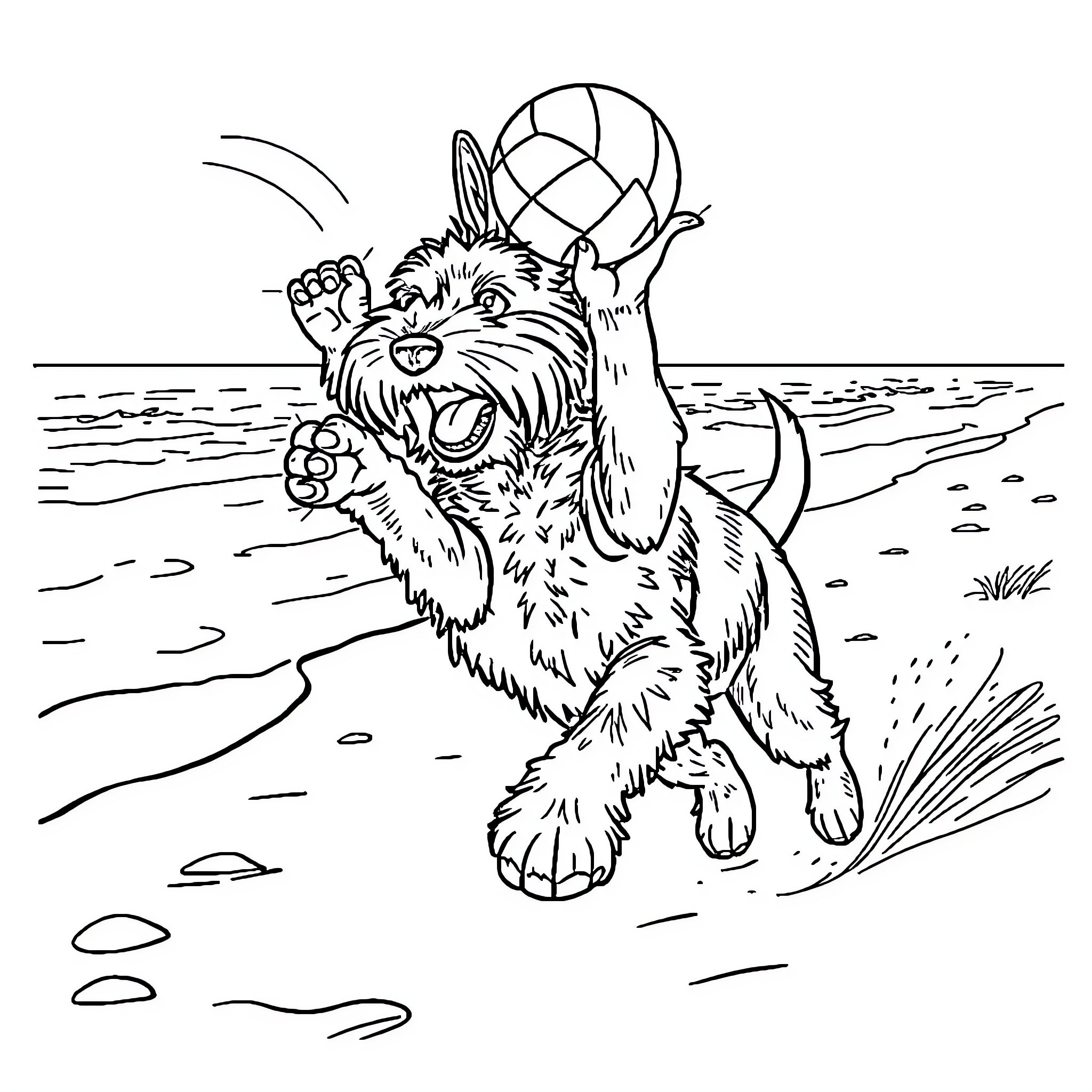 Schnauzer playing fetch with a ball on the beach Coloring Page (free black-and-white line drawing printable PDF for all, from beginners to advanced learners, including children, teens, adults, and seniors)