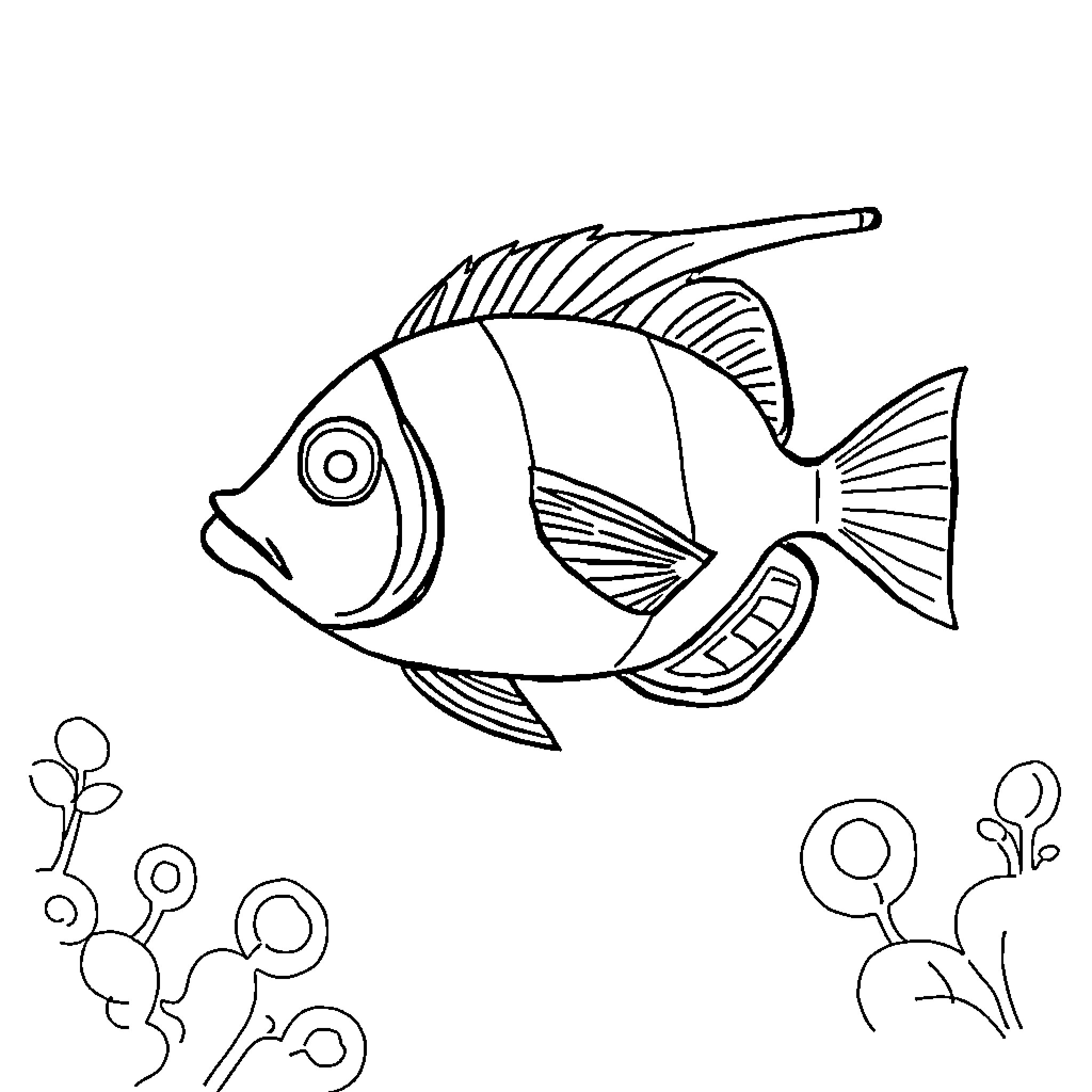 Angelfish swimming through the underwater garden Coloring Page (free black-and-white line drawing printable PDF for all, from beginners to advanced learners, including children, teens, adults, and seniors)