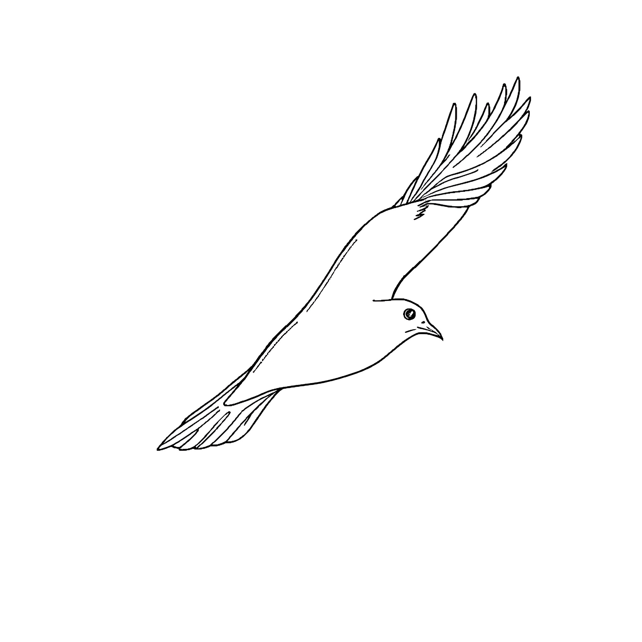 Bird soaring gracefully in the sky Coloring Page (free black-and-white line drawing printable PDF for all, from beginners to advanced learners, including children, teens, adults, and seniors)