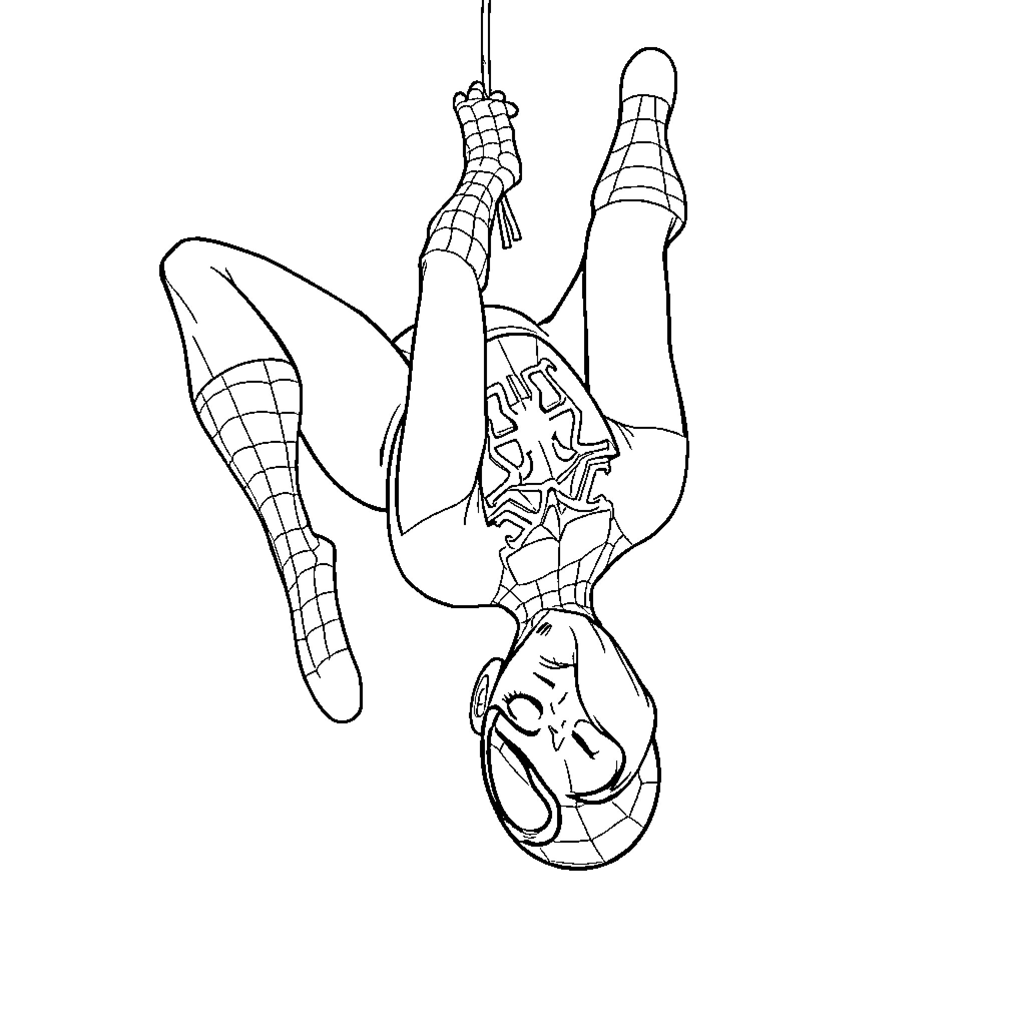 Gwen in Acrobatic Pose on Spider-Web Coloring Page (free black-and-white line drawing printable PDF for all, from beginners to advanced learners, including children, teens, adults, and seniors)