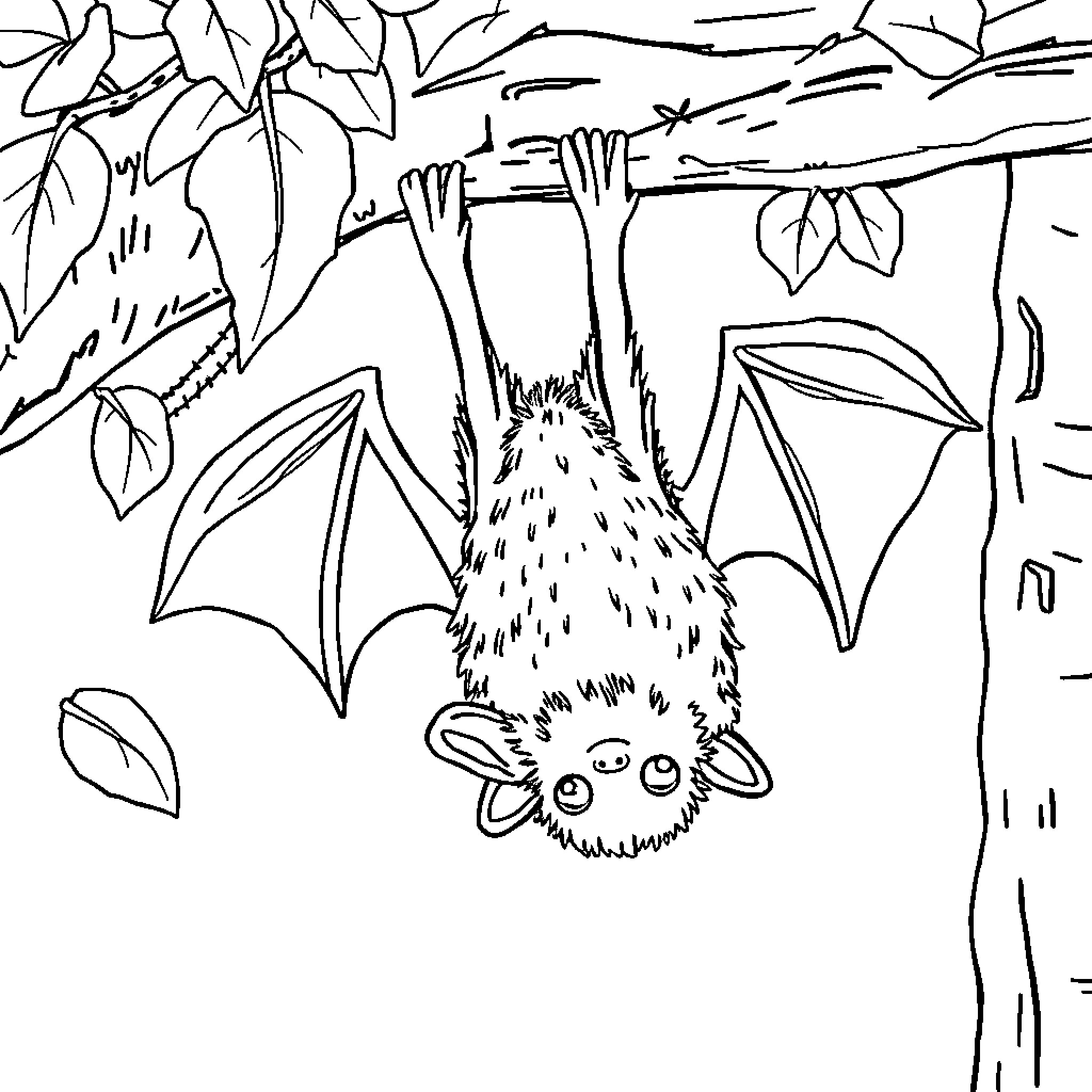 Bat hanging upside-down in forest Coloring Page (free black-and-white line drawing printable PDF for all, from beginners to advanced learners, including children, teens, adults, and seniors)
