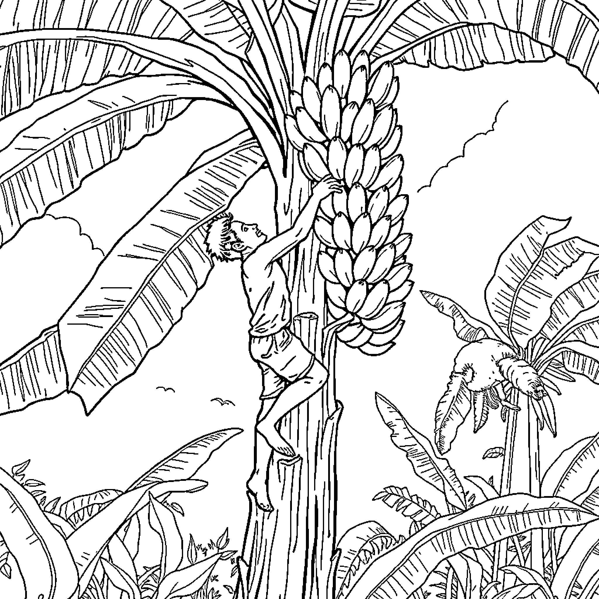 Man exploring lush tropical forest with banana plants Coloring Page (free black-and-white line drawing printable PDF for all, from beginners to advanced learners, including children, teens, adults, and seniors)