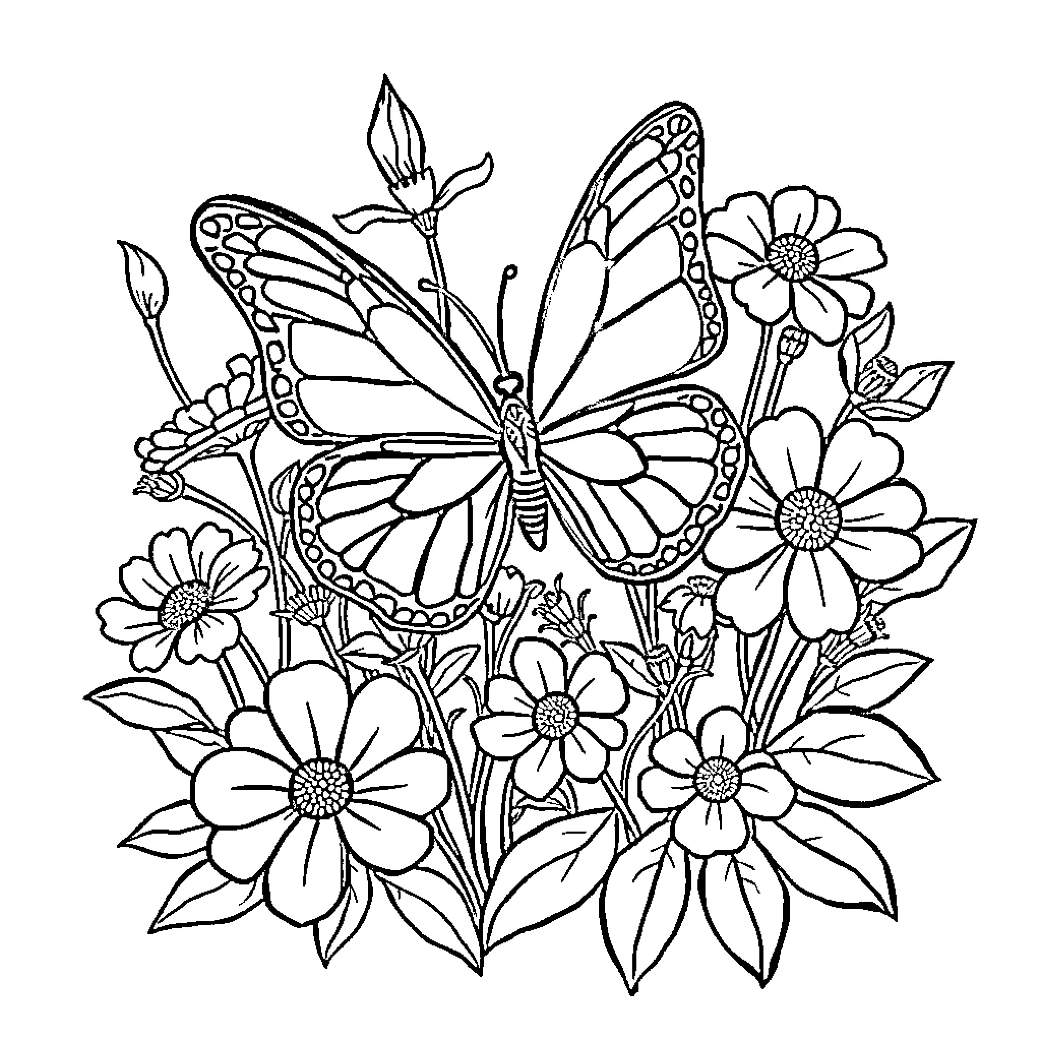 Butterfly fluttering amidst blooming flowers Coloring Page (free black-and-white line drawing printable PDF for all, from beginners to advanced learners, including children, teens, adults, and seniors)