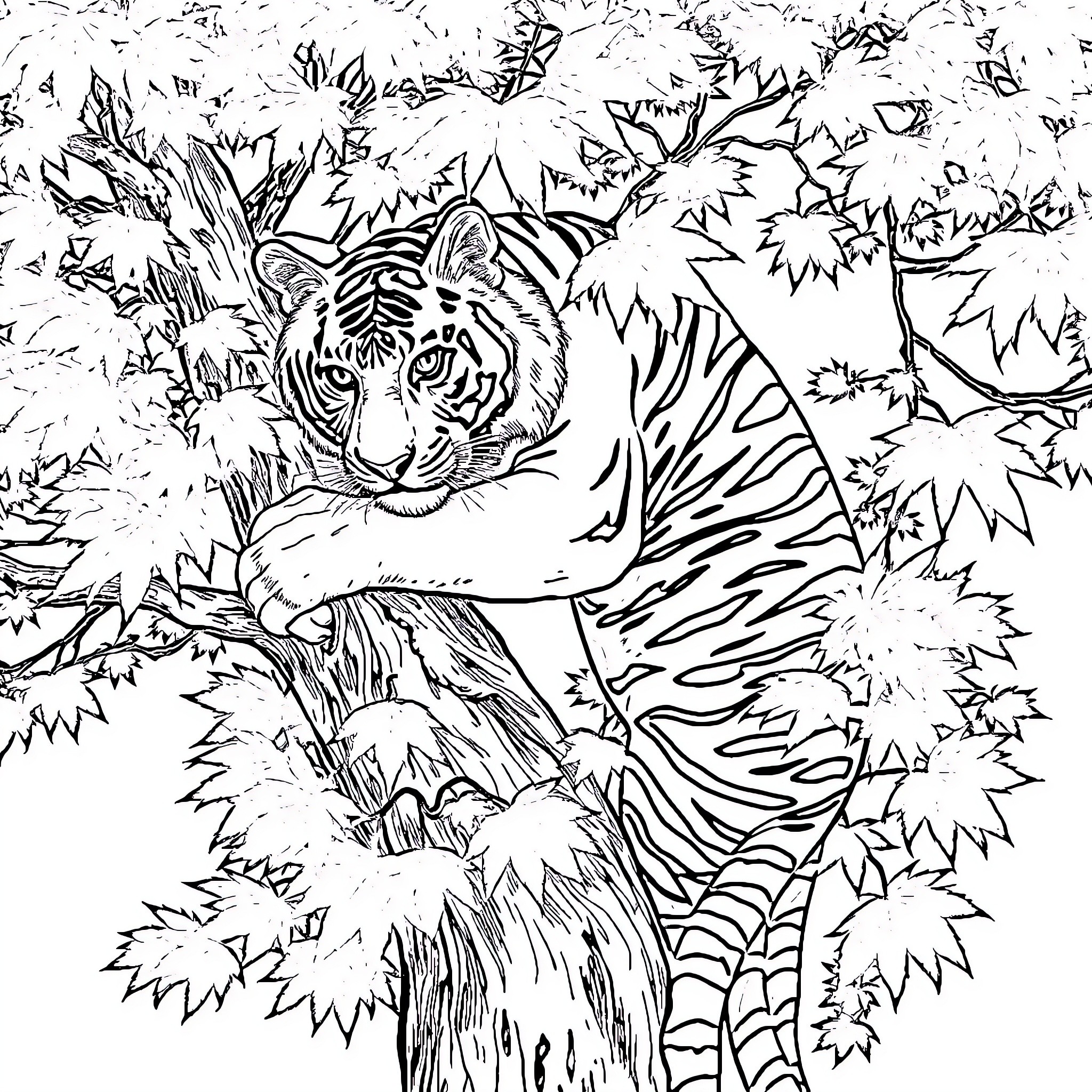 Tiger Prowling Amidst Jungle Foliage Coloring Page (free black-and-white line drawing printable PDF for all, from beginners to advanced learners, including children, teens, adults, and seniors)