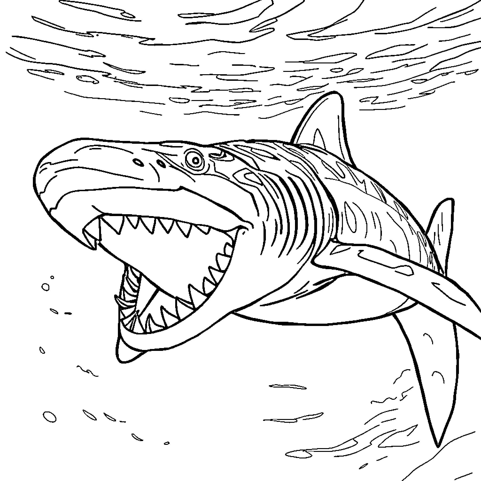 Tiburoncocodrilo - Fierce shark hunting underwater Coloring Page (free black-and-white line drawing printable PDF for all, from beginners to advanced learners, including children, teens, adults, and seniors)