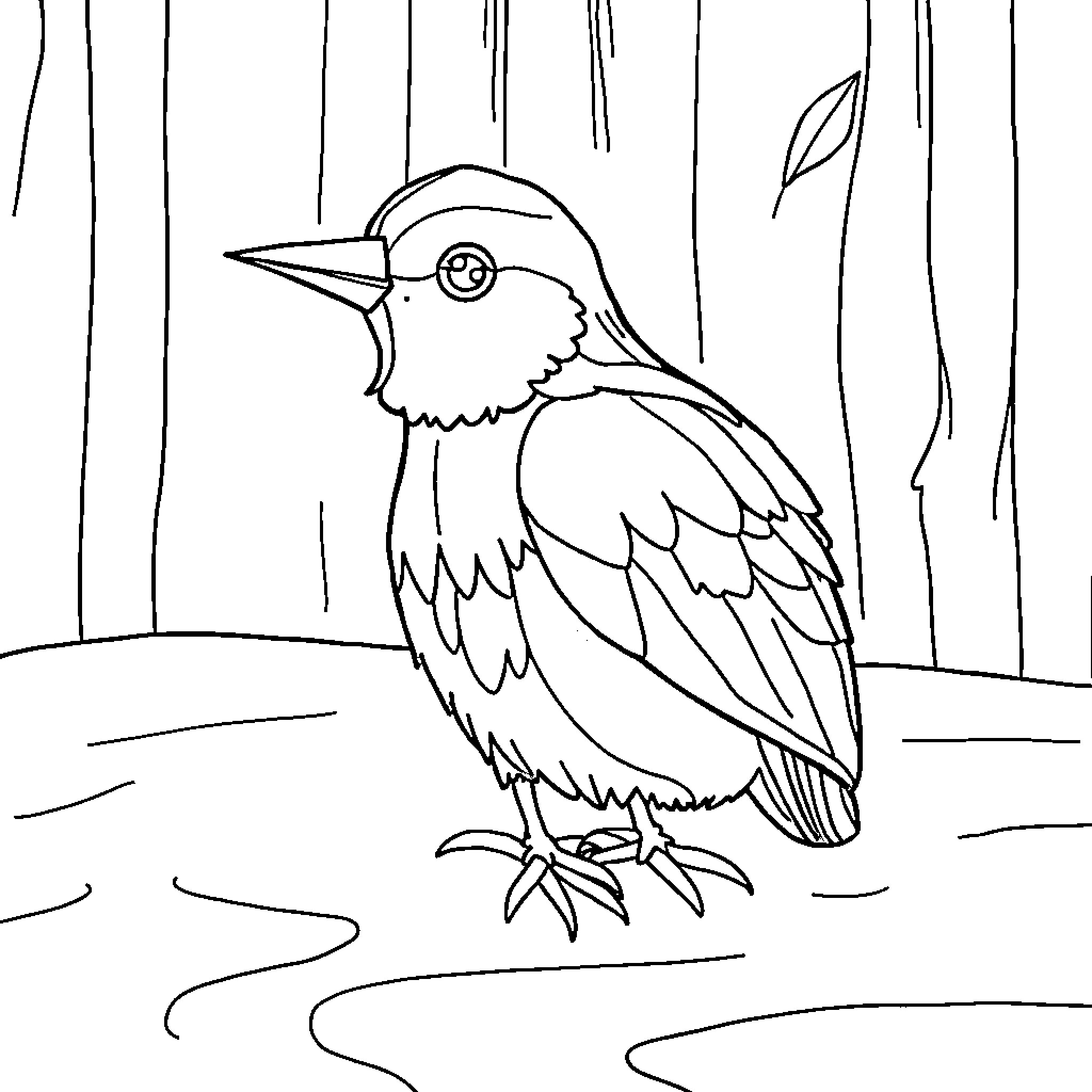 Bird perched in the woods Coloring Page (free black-and-white line drawing printable PDF for all, from beginners to advanced learners, including children, teens, adults, and seniors)