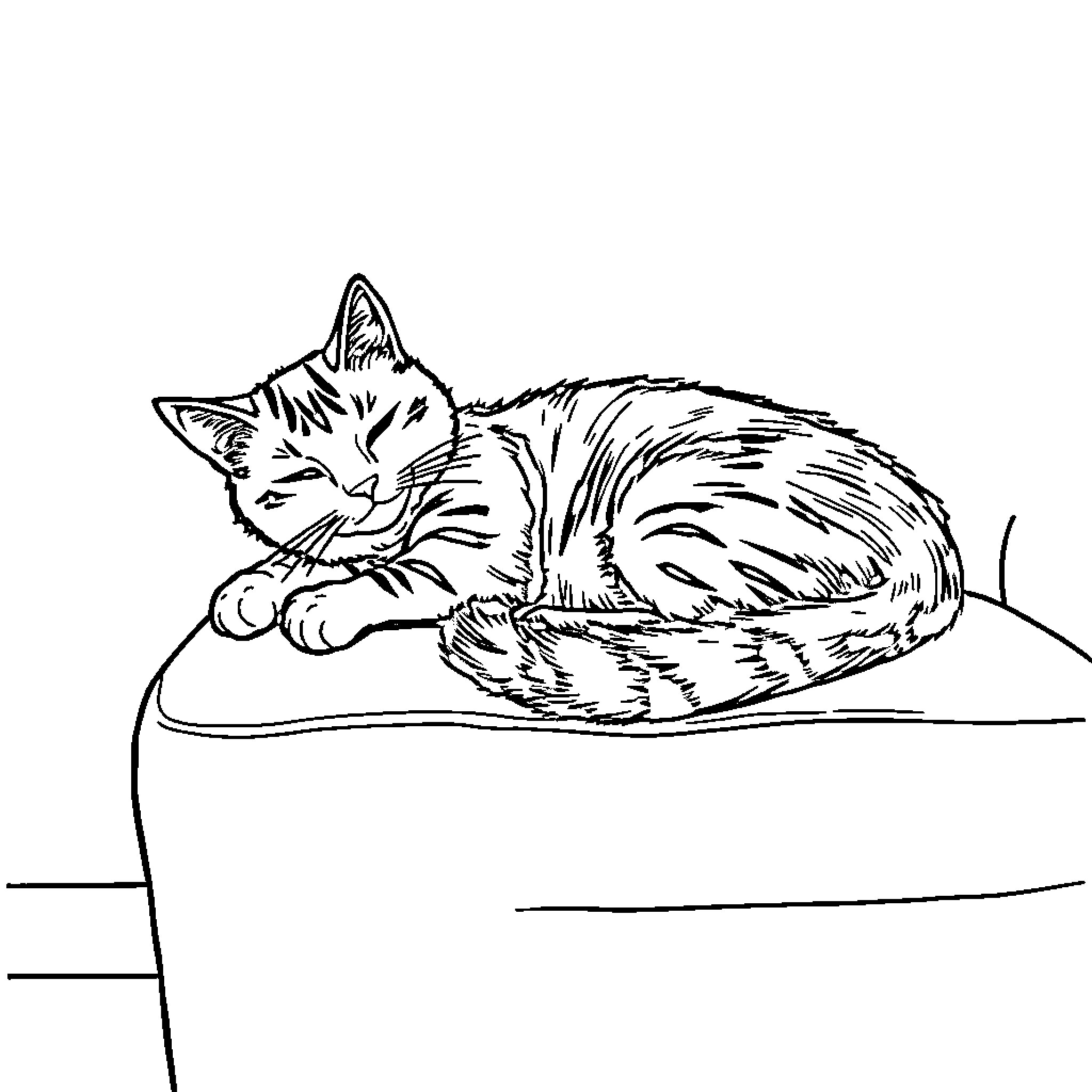 Cat sleeping peacefully on a cushion Coloring Page (free black-and-white line drawing printable PDF for all, from beginners to advanced learners, including children, teens, adults, and seniors)