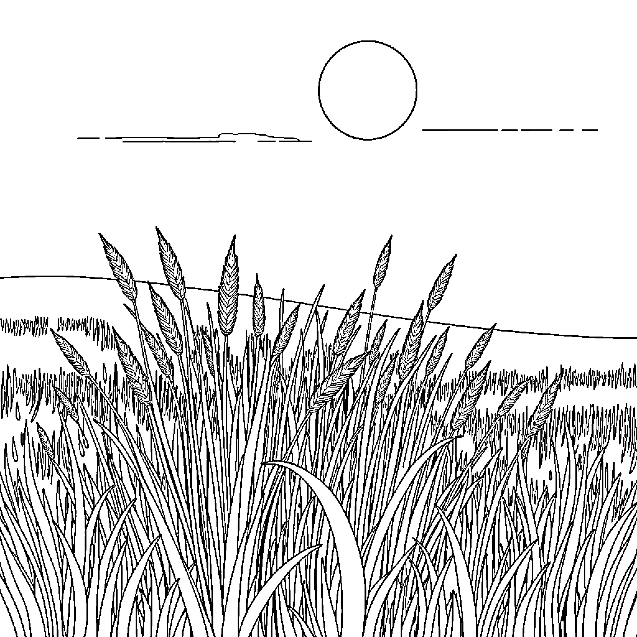 Ryegrass field under the sun Coloring Page (free black-and-white line drawing printable PDF for all, from beginners to advanced learners, including children, teens, adults, and seniors)