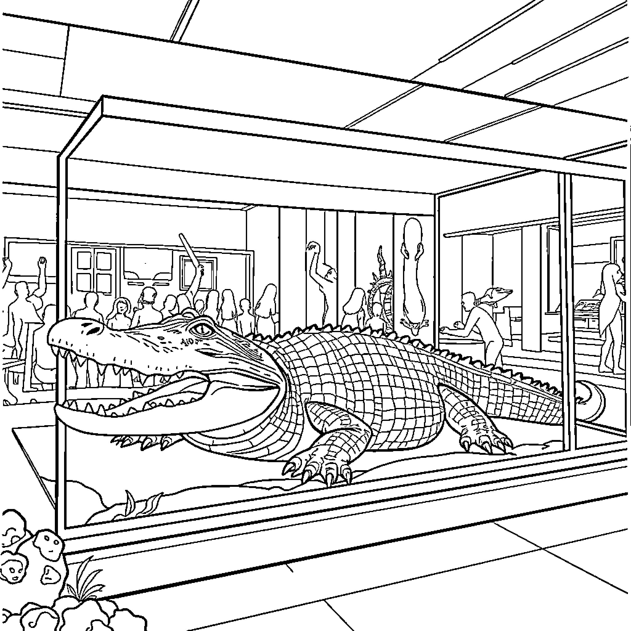 Alligator exhibit in a museum Coloring Page (free black-and-white line drawing printable PDF for all, from beginners to advanced learners, including children, teens, adults, and seniors)