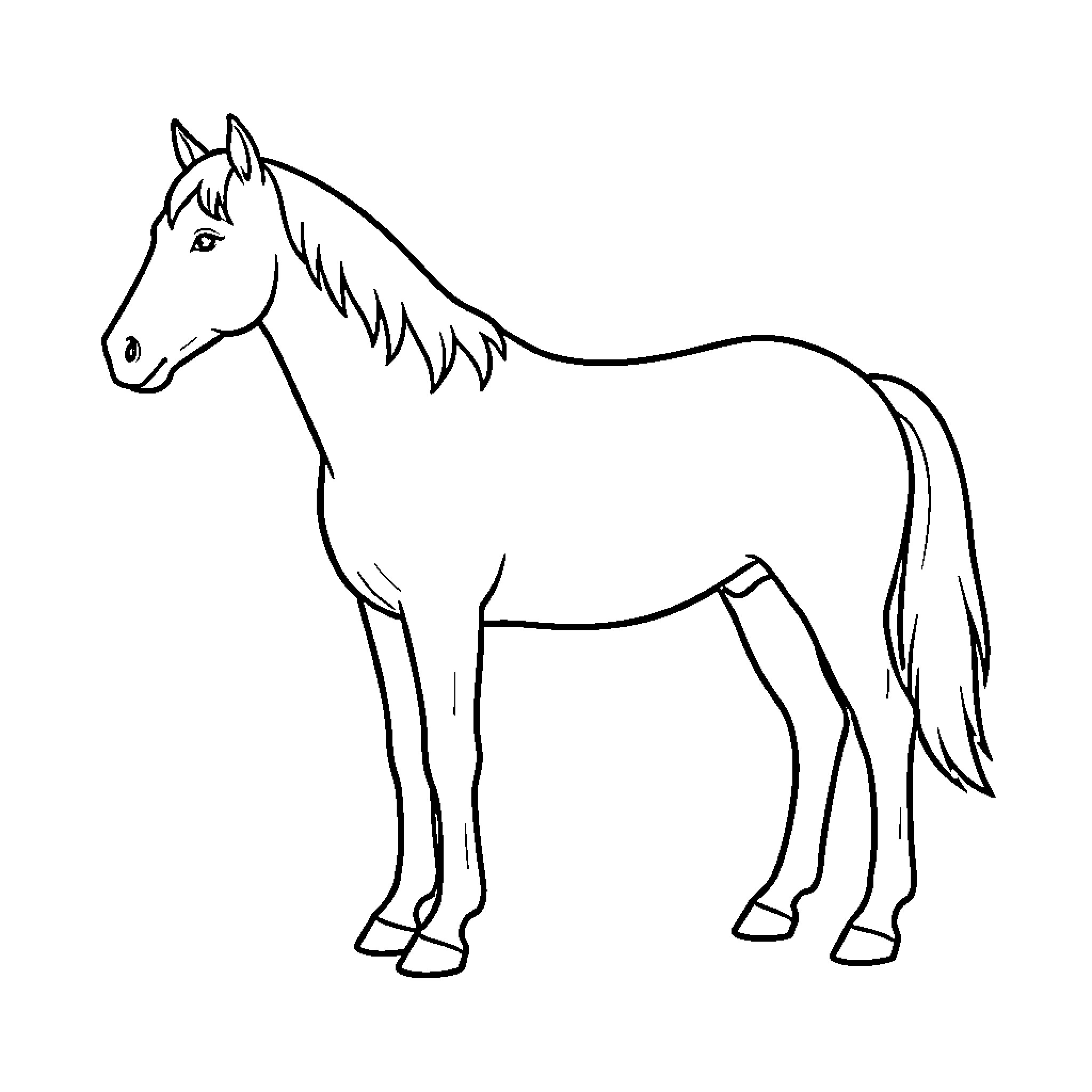 Horse standing calmly in a profile view Coloring Page (free black-and-white line drawing printable PDF for all, from beginners to advanced learners, including children, teens, adults, and seniors)