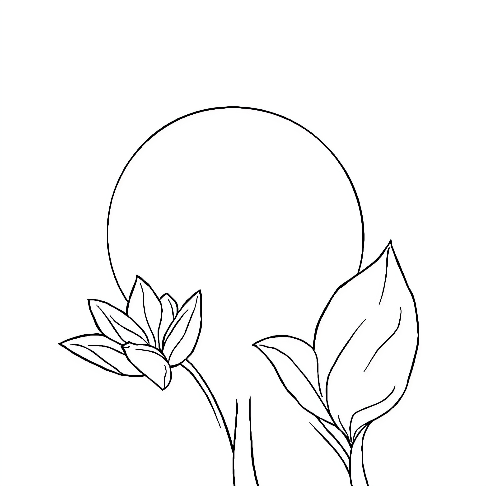 Shadow of Blooming Flowers in the Moonlight Coloring Page (free black-and-white line drawing printable PDF for all, from beginners to advanced learners, including children, teens, adults, and seniors)
