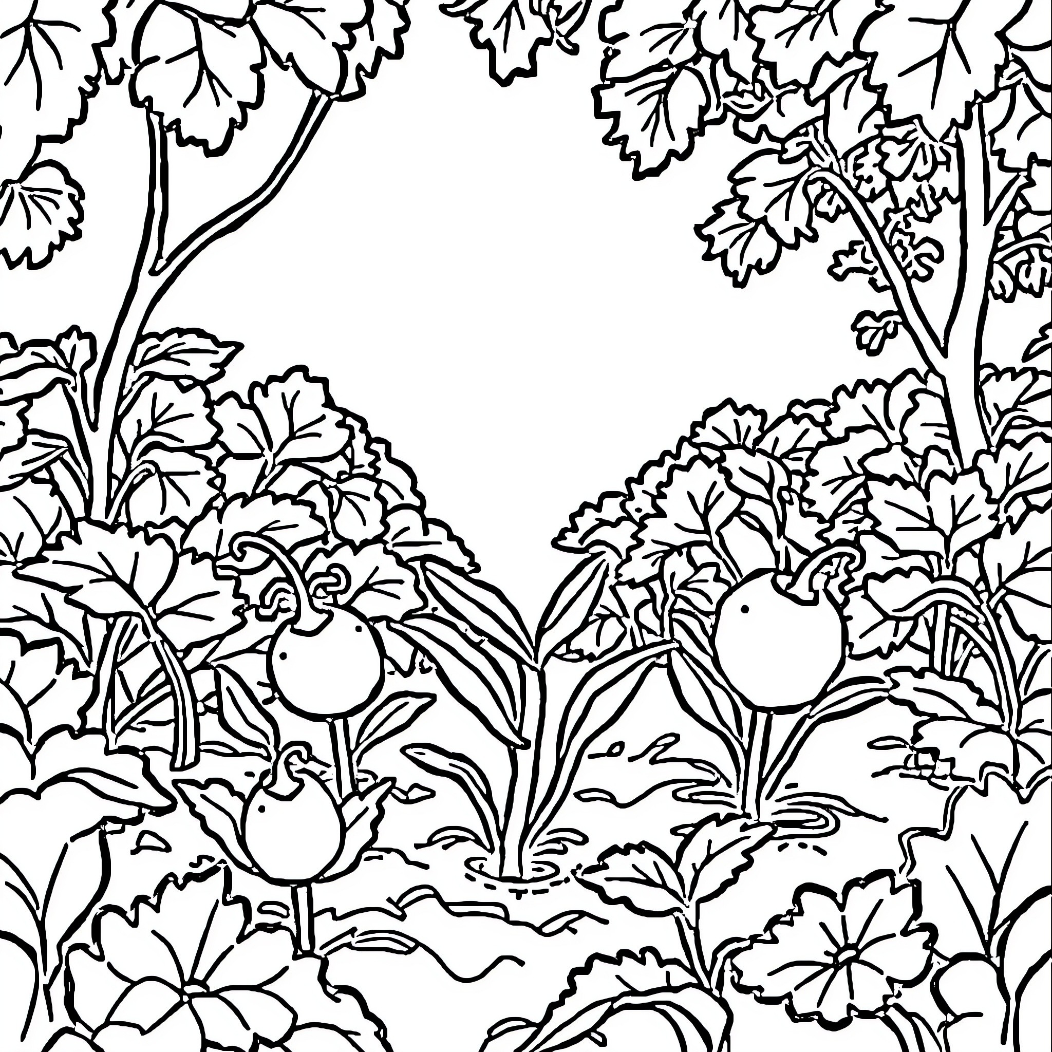 Vegetable garden with lush foliage and produce Coloring Page (free black-and-white line drawing printable PDF for all, from beginners to advanced learners, including children, teens, adults, and seniors)
