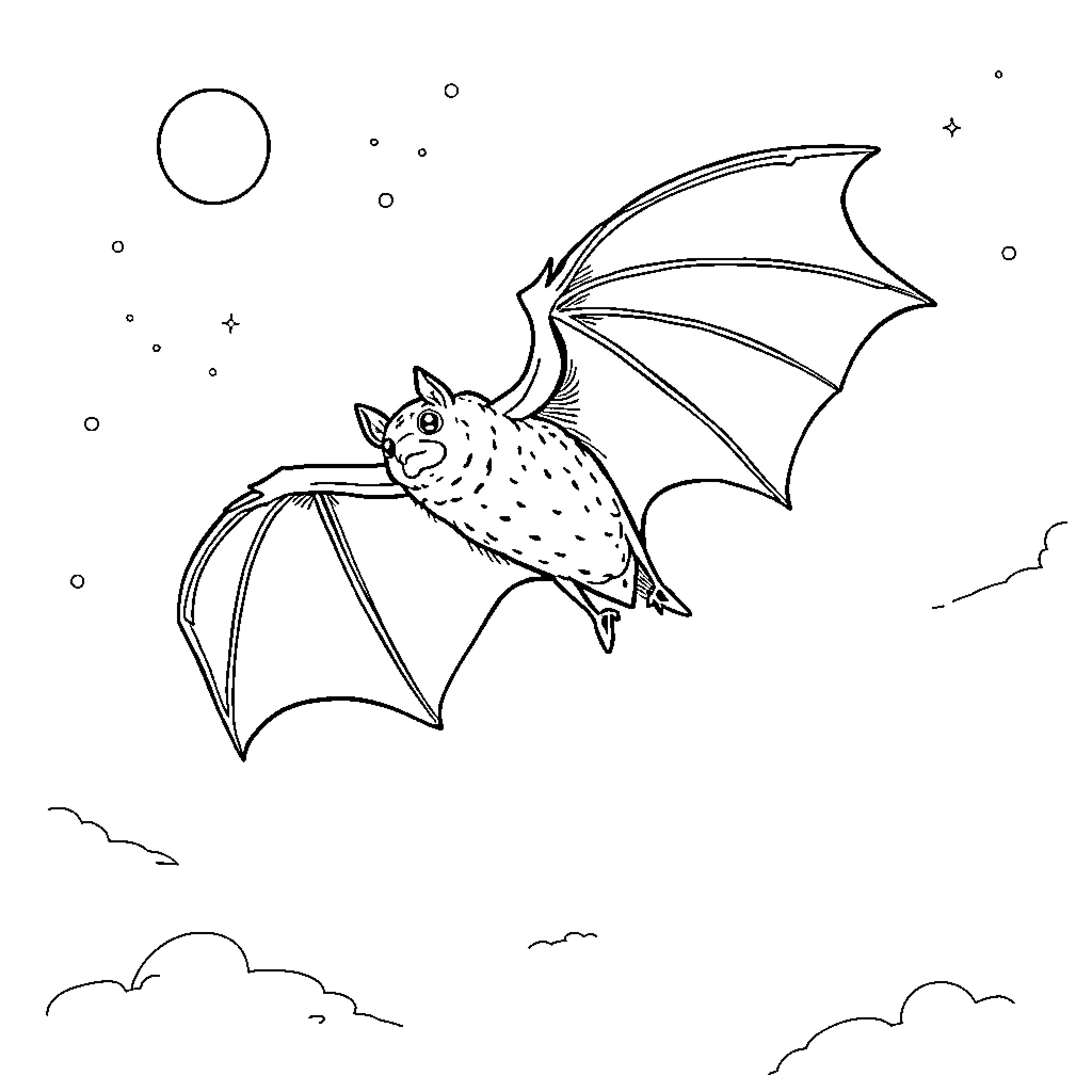 Fruit Bat gliding in the night sky Coloring Page (free black-and-white line drawing printable PDF for all, from beginners to advanced learners, including children, teens, adults, and seniors)