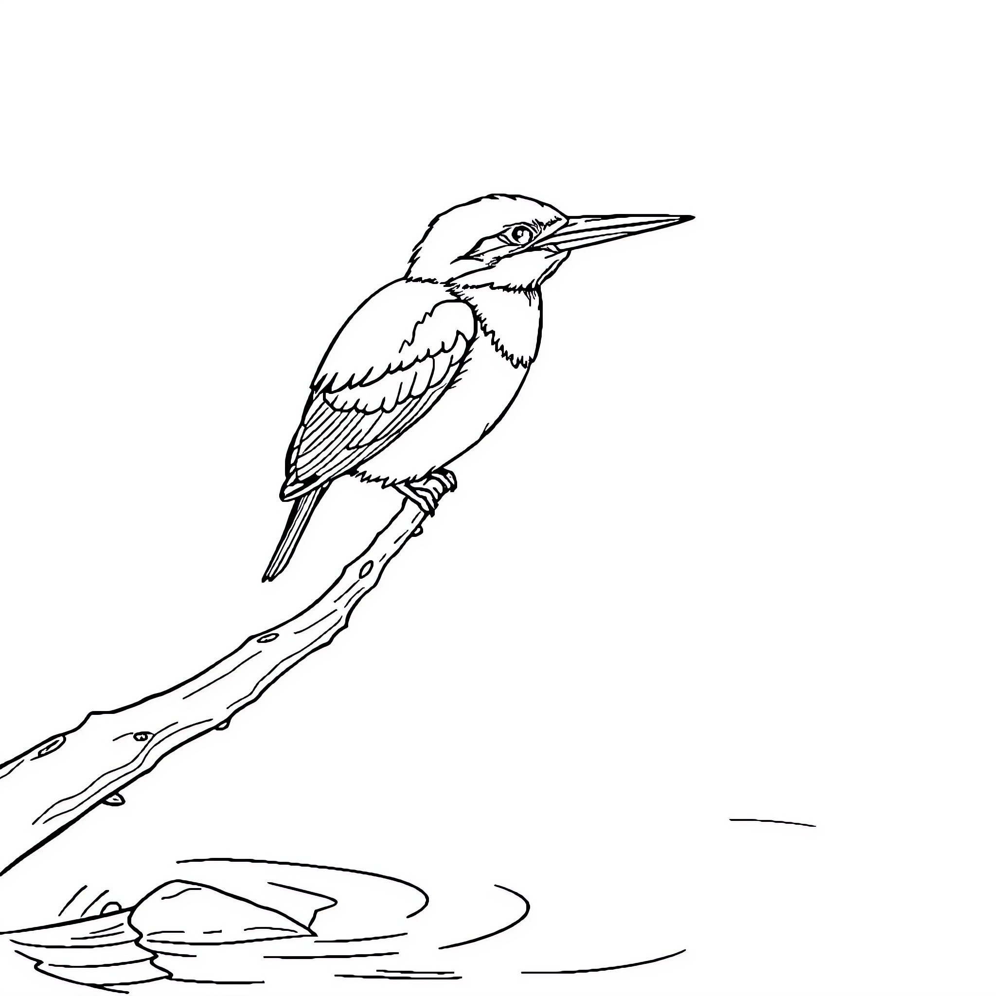 Kingfisher perched on branch overlooking water Coloring Page (free black-and-white line drawing printable PDF for all, from beginners to advanced learners, including children, teens, adults, and seniors)