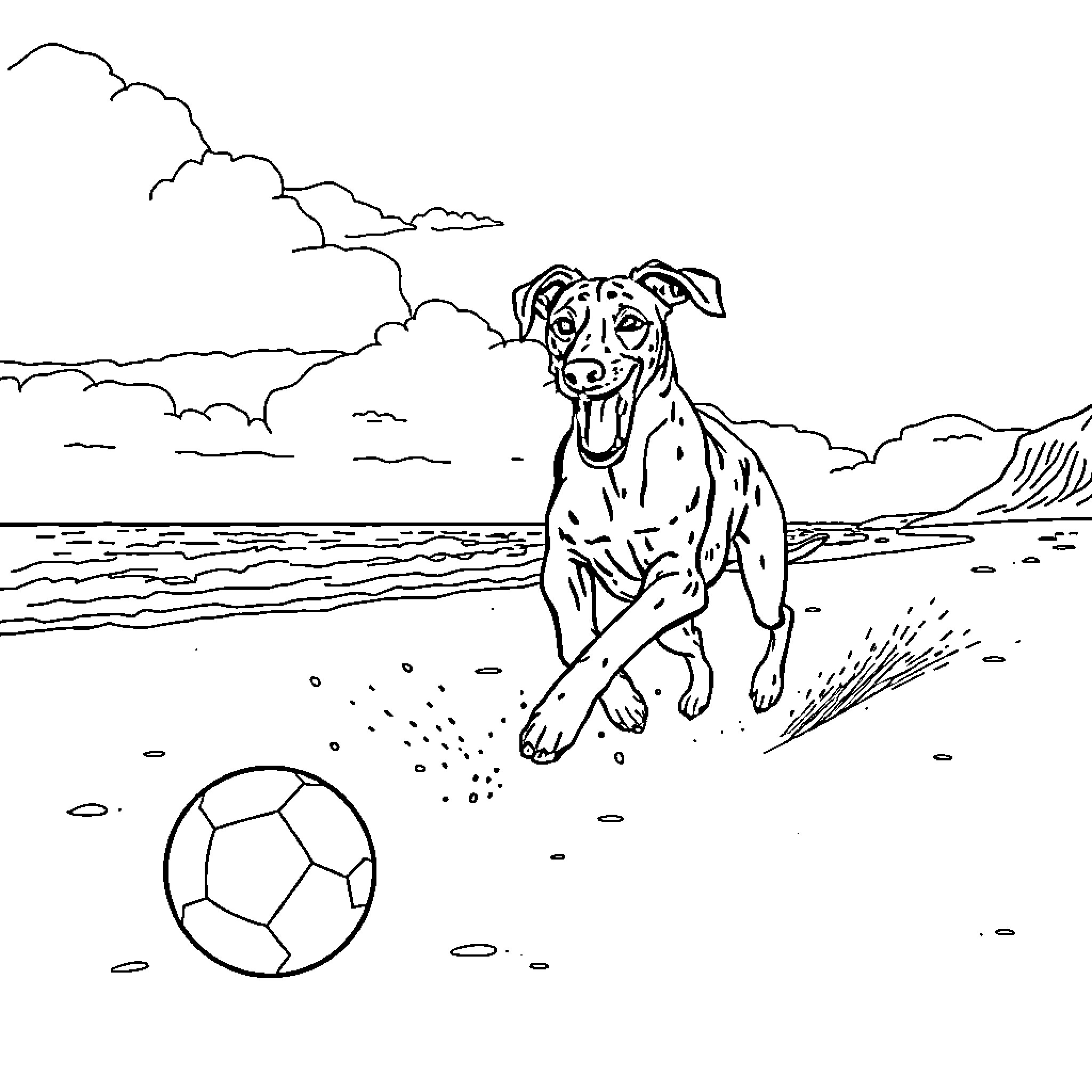 Lurcher playing joyfully with soccer ball on the beach Coloring Page (free black-and-white line drawing printable PDF for all, from beginners to advanced learners, including children, teens, adults, and seniors)