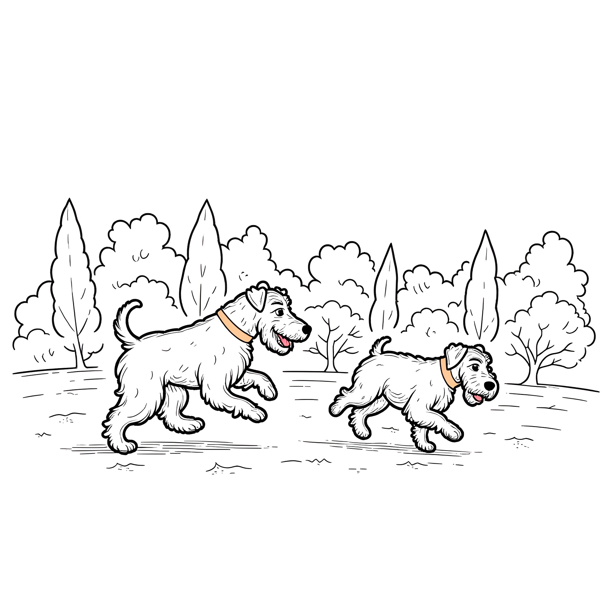 Schnauzer dogs playing joyfully in park Coloring Page (free black-and-white line drawing printable PDF for all, from beginners to advanced learners, including children, teens, adults, and seniors)
