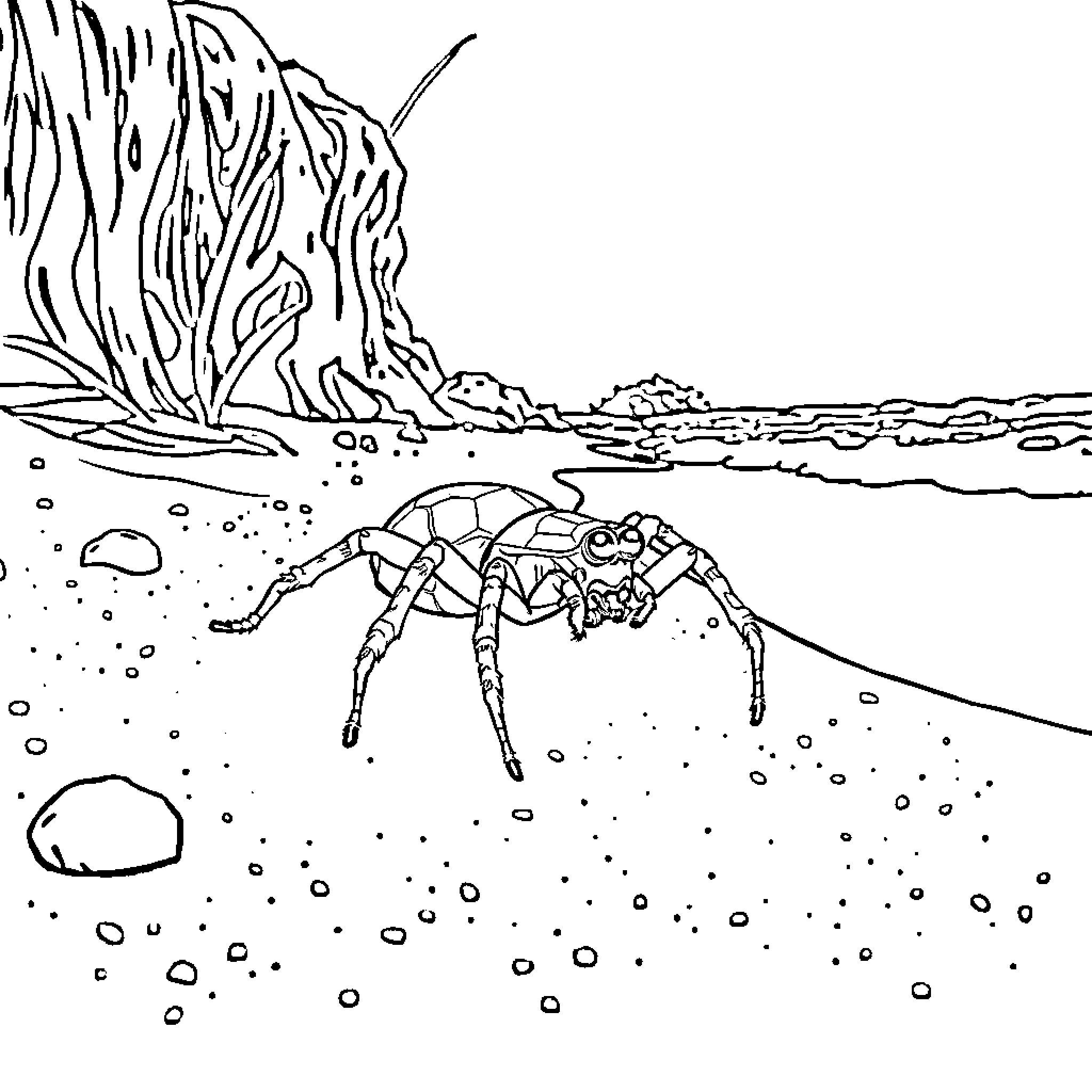 Spider exploring the underwater landscape Coloring Page (free black-and-white line drawing printable PDF for all, from beginners to advanced learners, including children, teens, adults, and seniors)
