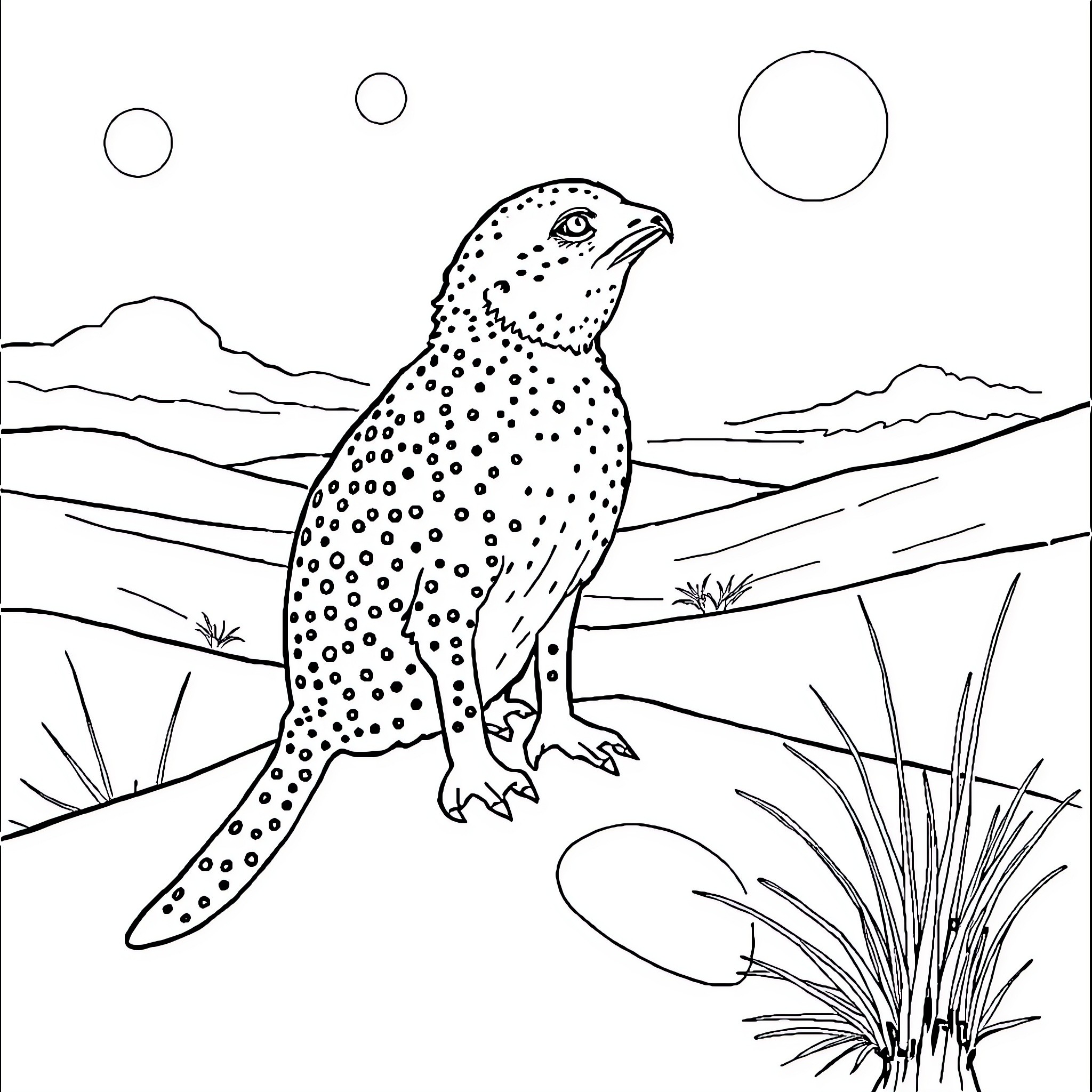 Seal resting on shore amid natural landscape Coloring Page (free black-and-white line drawing printable PDF for all, from beginners to advanced learners, including children, teens, adults, and seniors)
