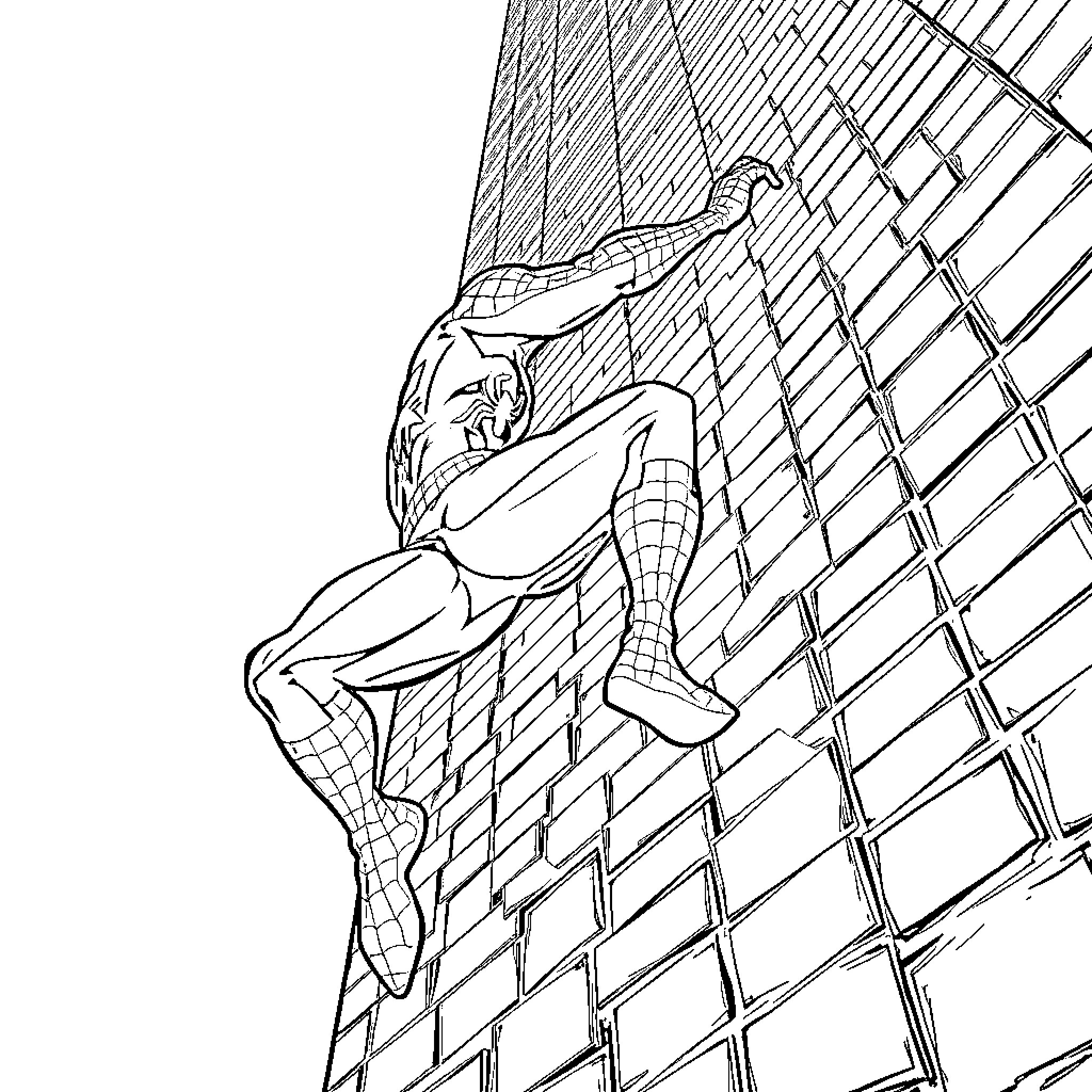 Spiderman climbing up a skyscraper Coloring Page (free black-and-white line drawing printable PDF for all, from beginners to advanced learners, including children, teens, adults, and seniors)