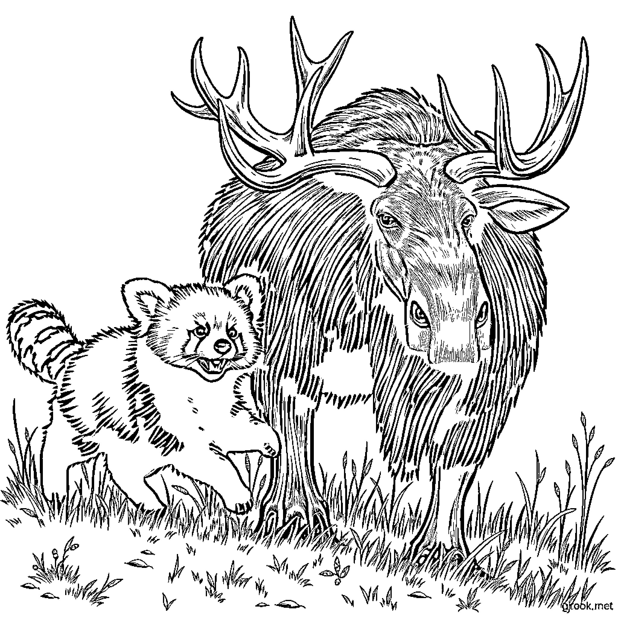 Red Panda Exploring Woodland with Deer Coloring Page (free black-and-white line drawing printable PDF for all, from beginners to advanced learners, including children, teens, adults, and seniors)