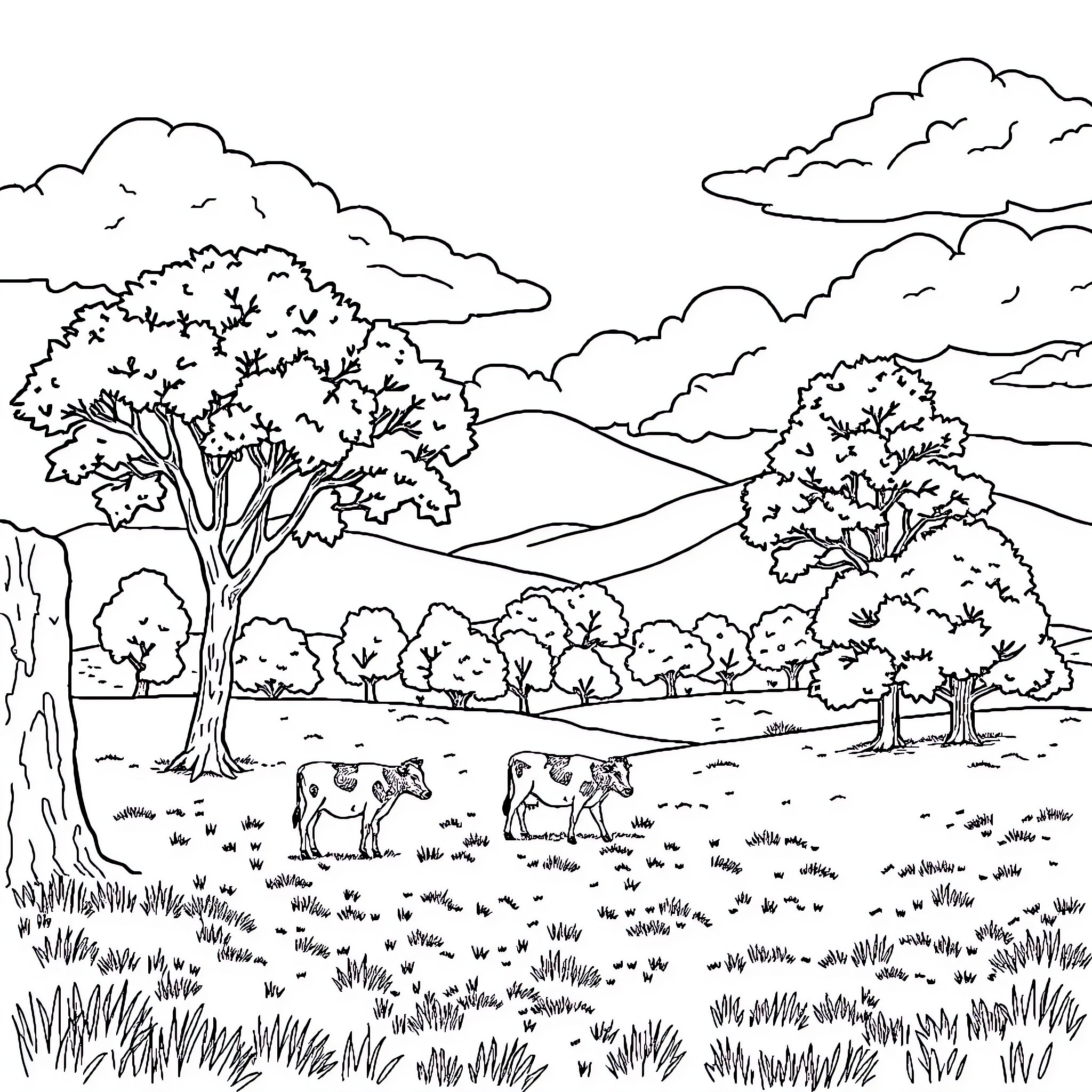 Tree Landscape with Grazing Cows Coloring Page (free black-and-white line drawing printable PDF for all, from beginners to advanced learners, including children, teens, adults, and seniors)