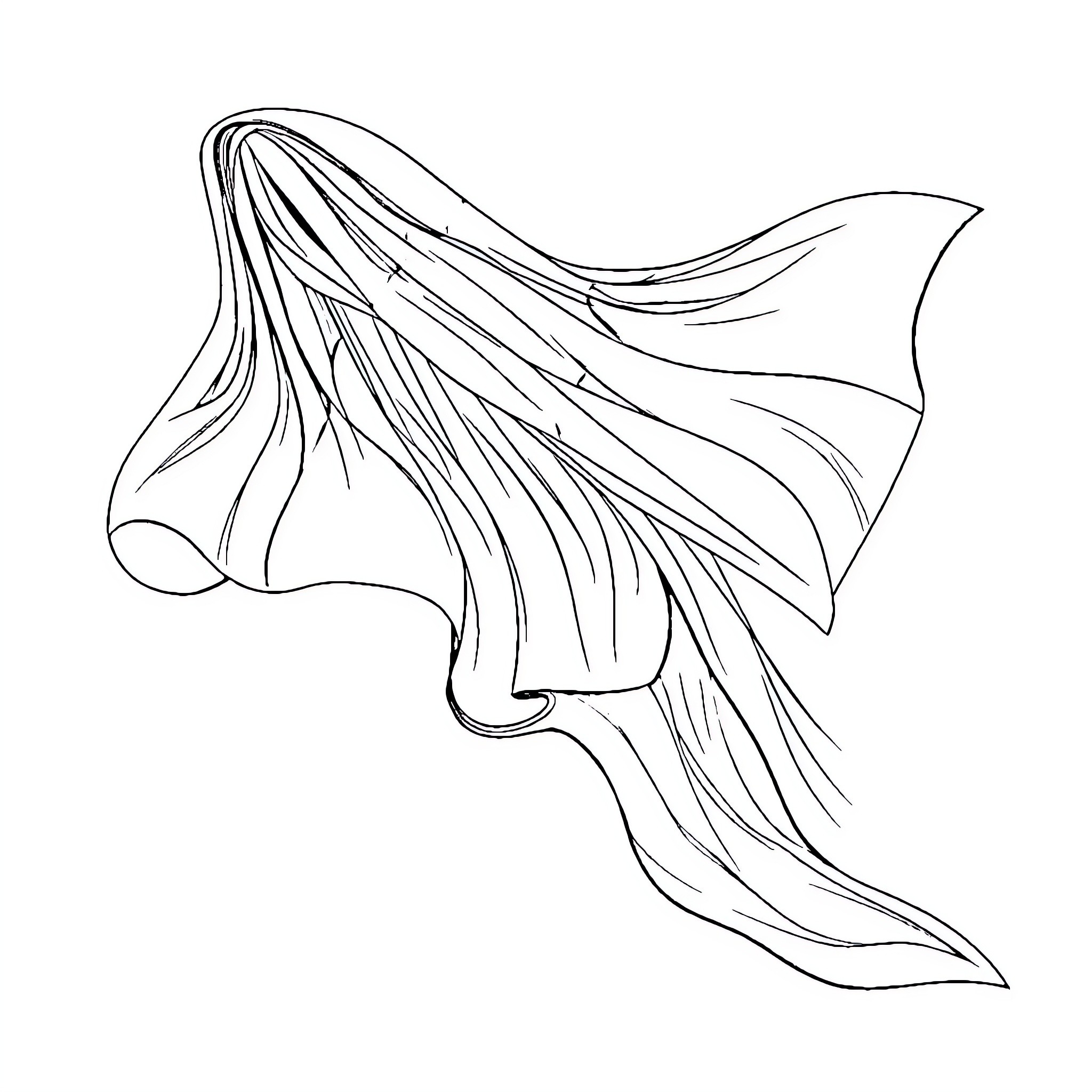 Italian Flag Flowing Fabric Design Coloring Page (free black-and-white line drawing printable PDF for all, from beginners to advanced learners, including children, teens, adults, and seniors)