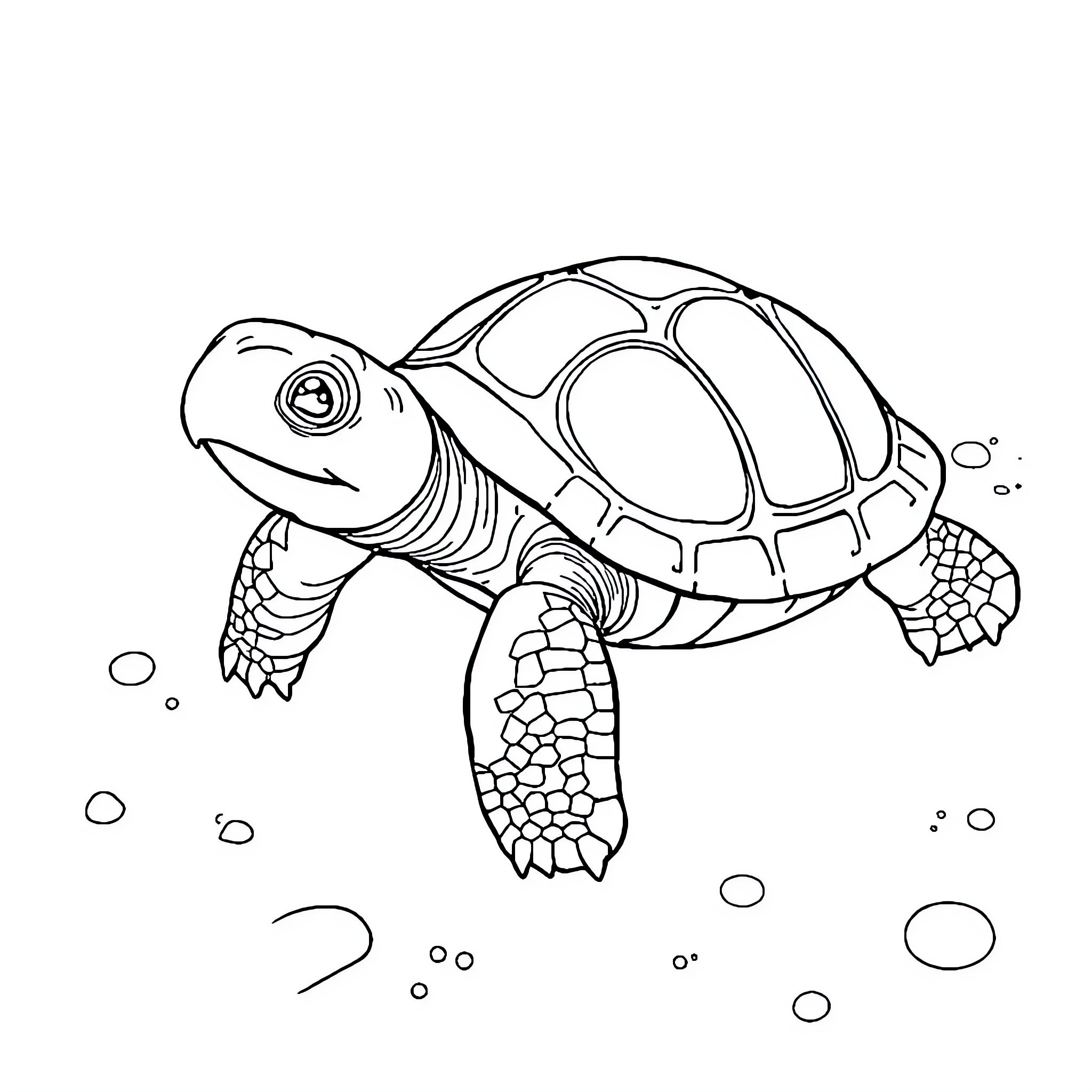Turtle swimming happily in the ocean Coloring Page (free black-and-white line drawing printable PDF for all, from beginners to advanced learners, including children, teens, adults, and seniors)