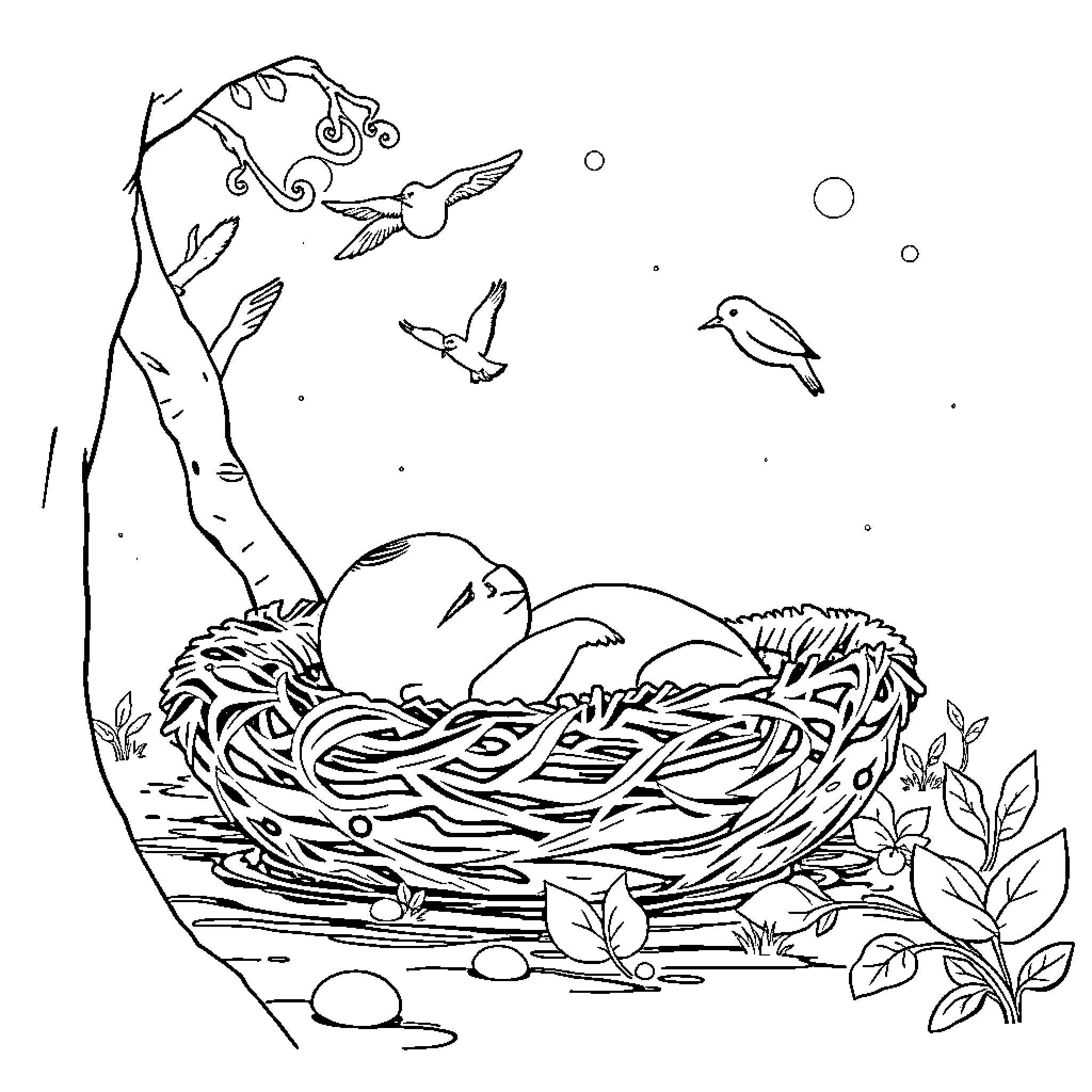 Moisés nurturing life in a bird's nest Coloring Page (free black-and-white line drawing printable PDF for all, from beginners to advanced learners, including children, teens, adults, and seniors)