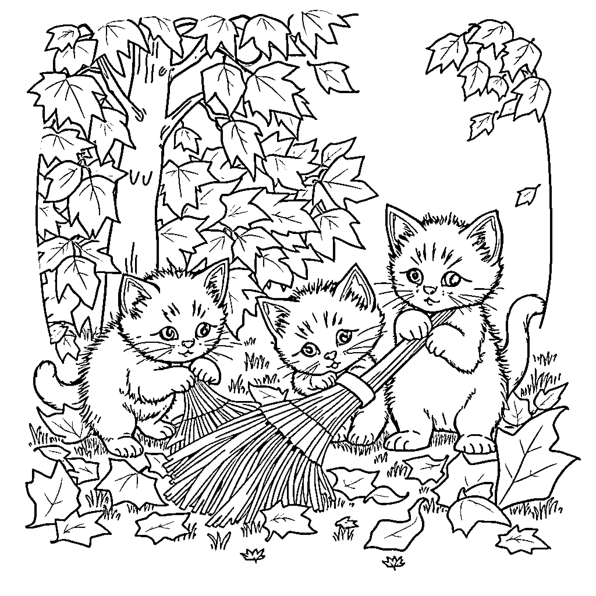 Kittens Exploring the Autumnal Outdoors Coloring Page (free black-and-white line drawing printable PDF for all, from beginners to advanced learners, including children, teens, adults, and seniors)