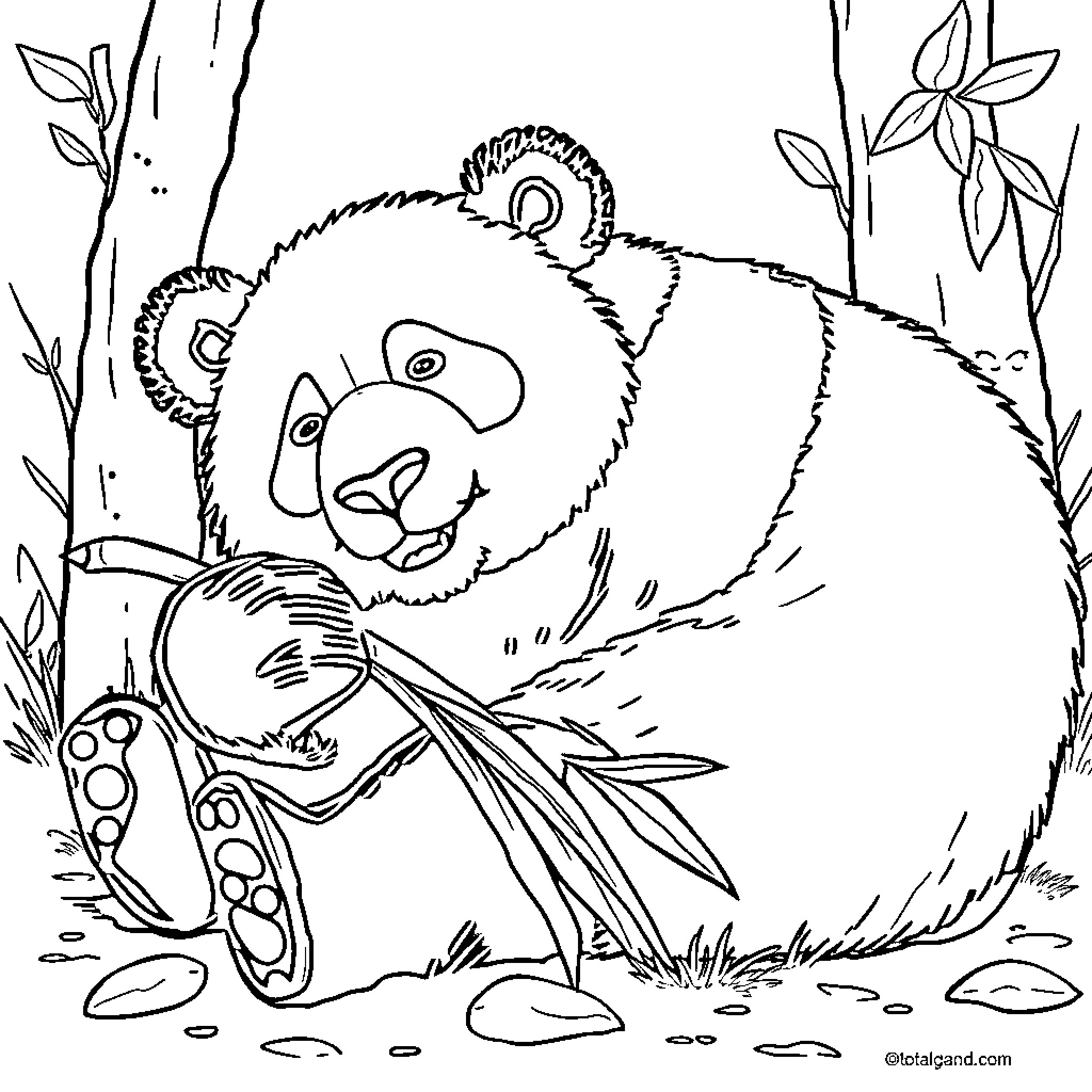 Panda sitting and eating bamboo in the forest Coloring Page (free black-and-white line drawing printable PDF for all, from beginners to advanced learners, including children, teens, adults, and seniors)