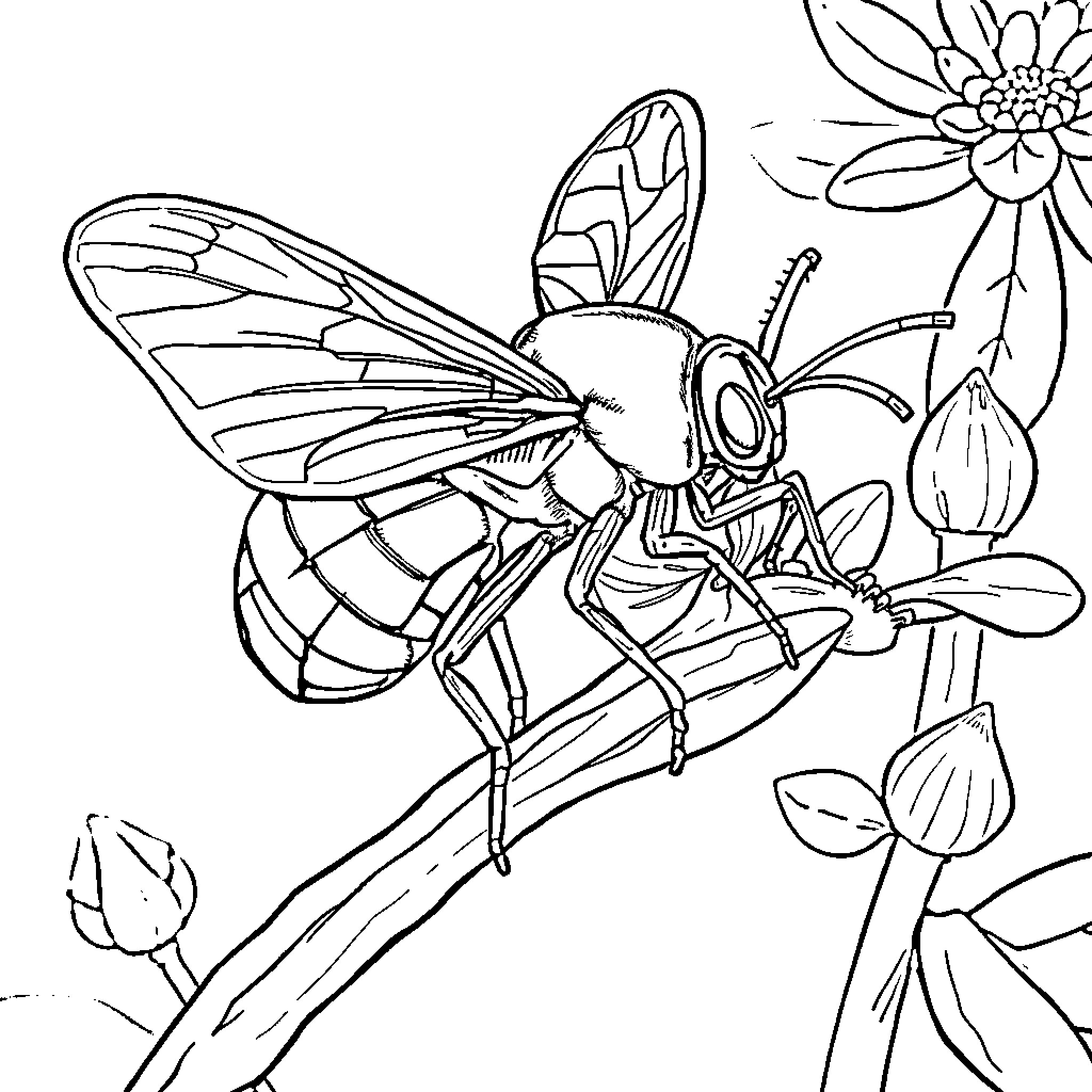Insect exploring blooming flowers Coloring Page (free black-and-white line drawing printable PDF for all, from beginners to advanced learners, including children, teens, adults, and seniors)