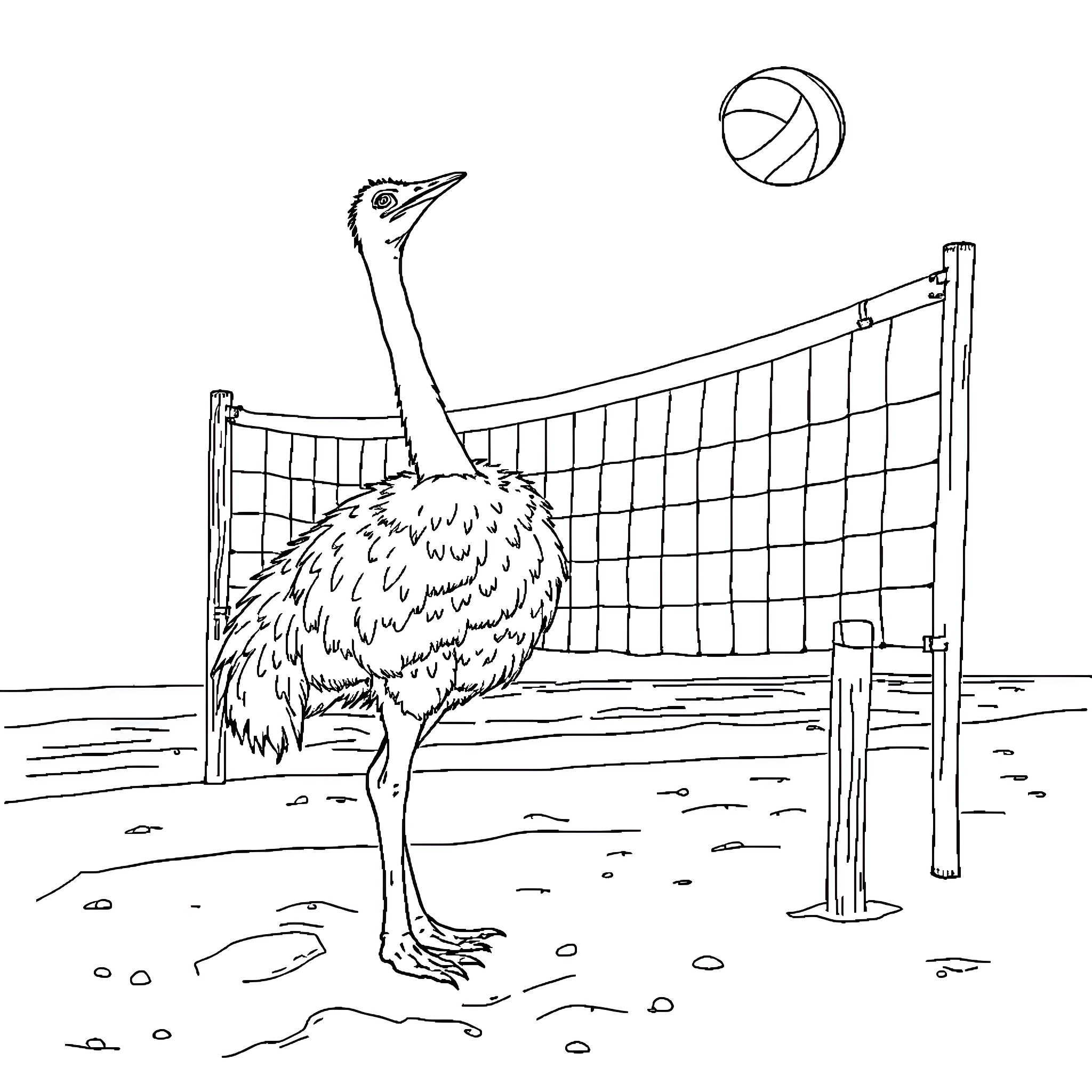 Ostrich playing with volleyball on court Coloring Page (free black-and-white line drawing printable PDF for all, from beginners to advanced learners, including children, teens, adults, and seniors)