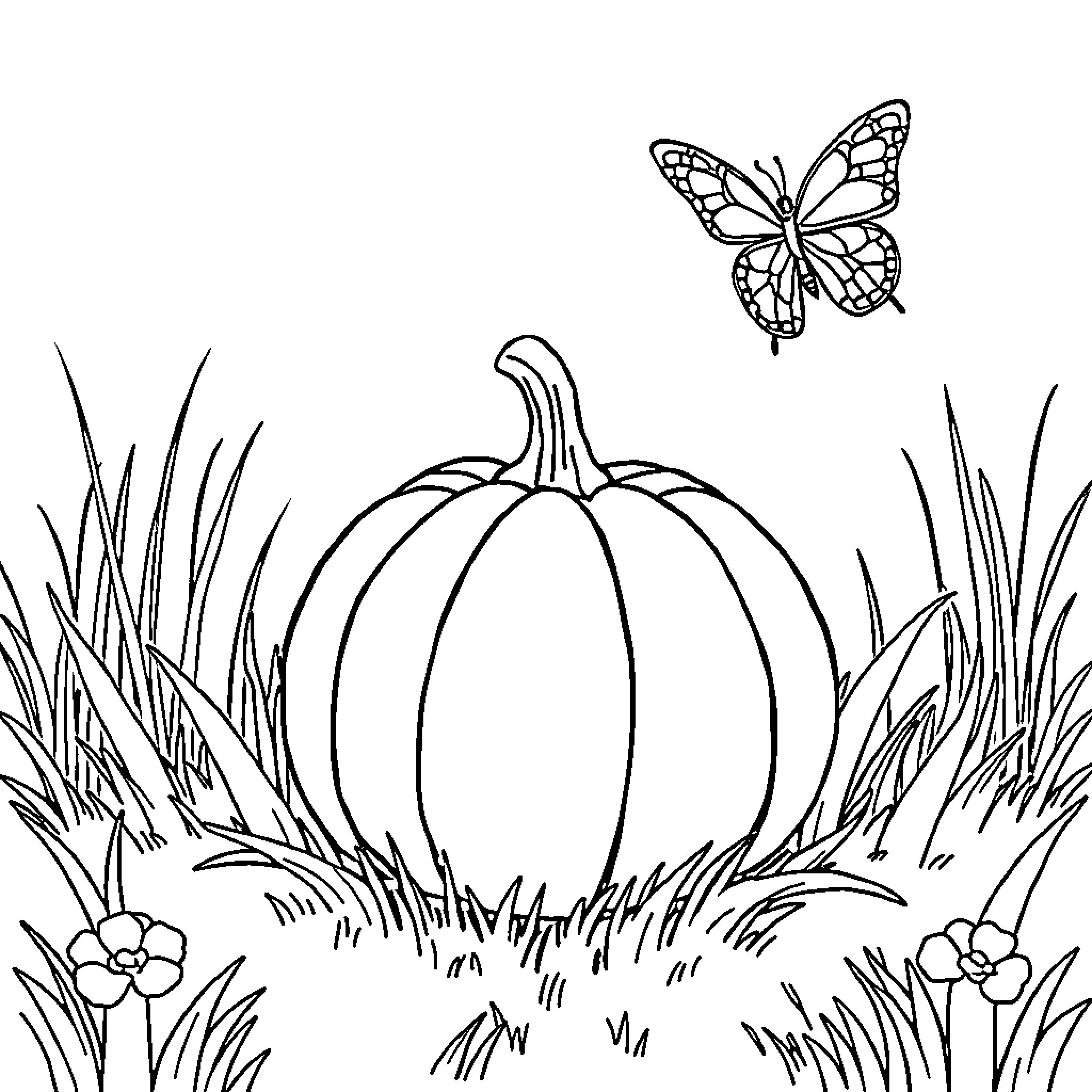 Pumpkin in the garden with butterfly Coloring Page (free black-and-white line drawing printable PDF for all, from beginners to advanced learners, including children, teens, adults, and seniors)