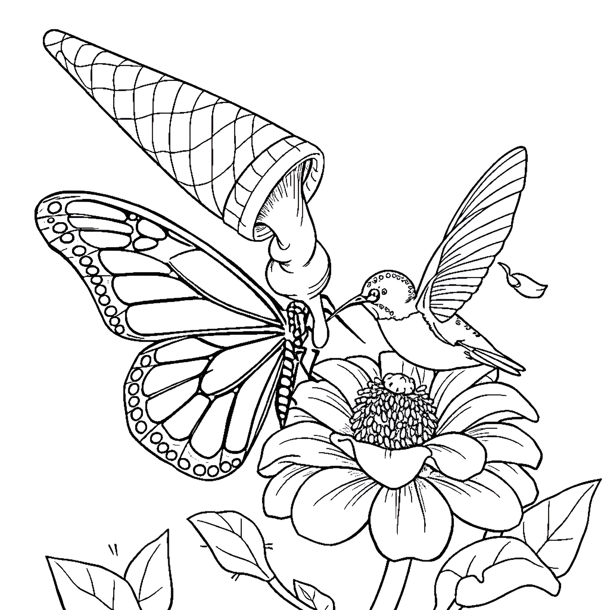 Butterfly Feeding on Flower with Hummingbird Coloring Page (free black-and-white line drawing printable PDF for all, from beginners to advanced learners, including children, teens, adults, and seniors)