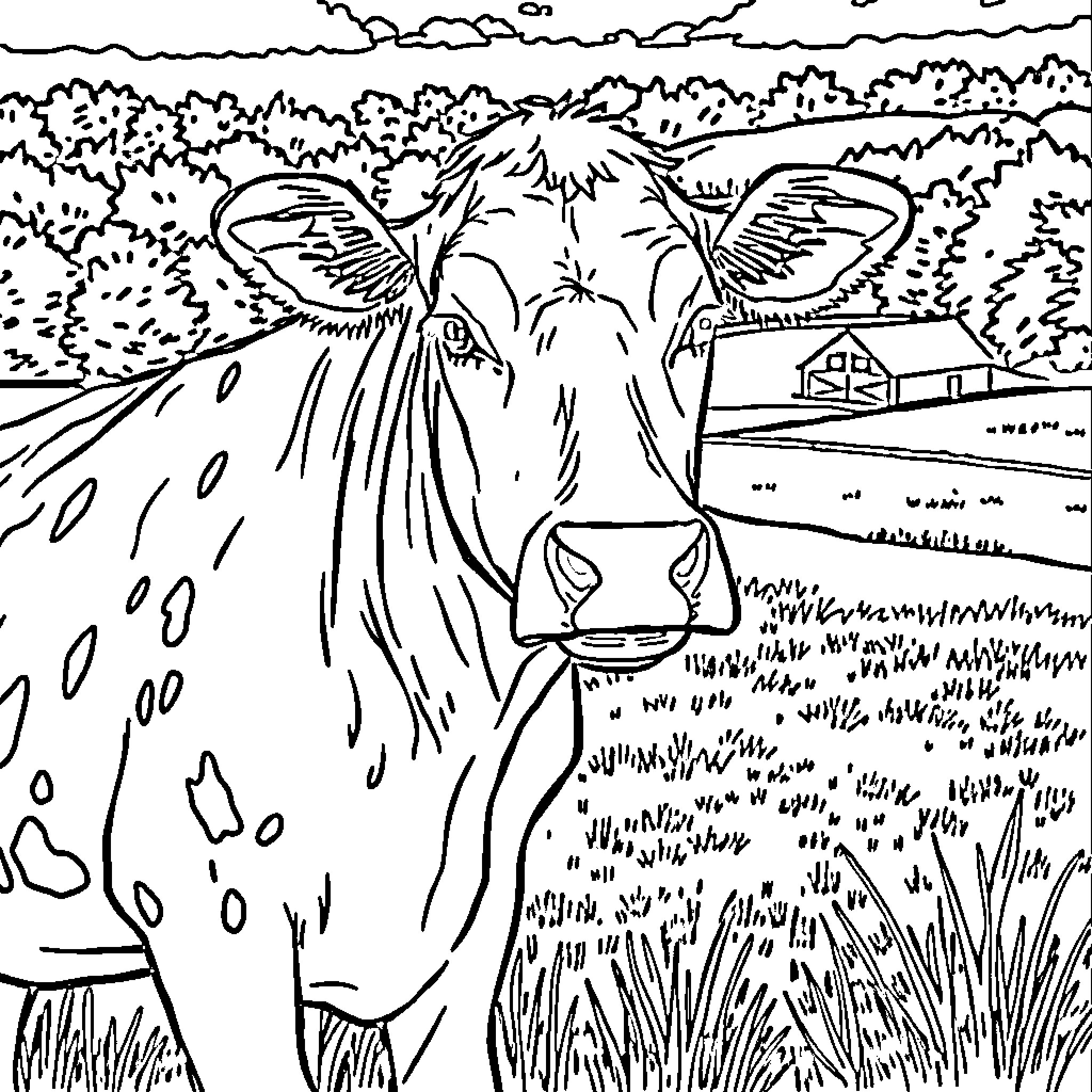 Cow grazing peacefully in the countryside Coloring Page (free black-and-white line drawing printable PDF for all, from beginners to advanced learners, including children, teens, adults, and seniors)