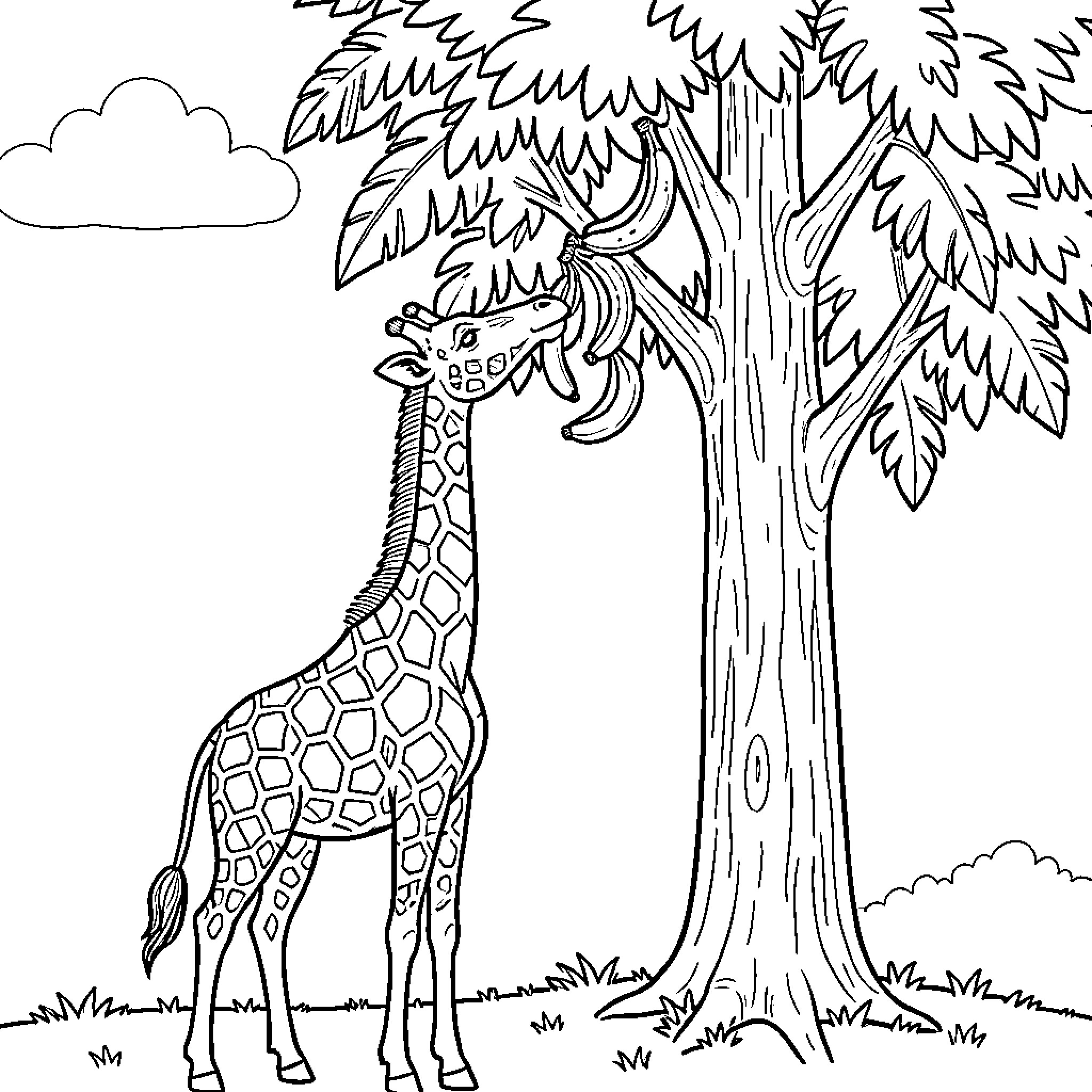 Giraffe eating leaves from a tall tree Coloring Page (free black-and-white line drawing printable PDF for all, from beginners to advanced learners, including children, teens, adults, and seniors)