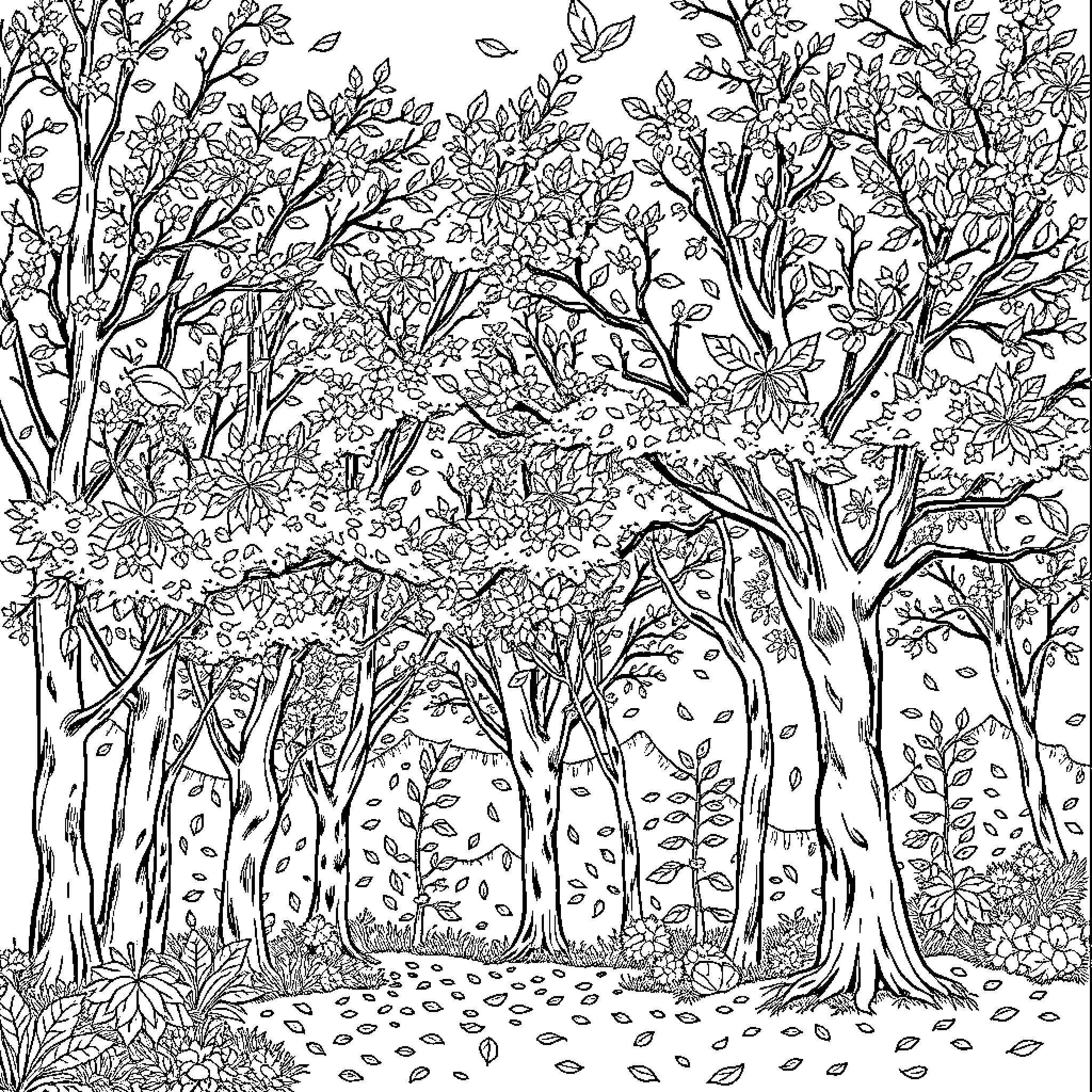 Autumn Foliage and Woodland Scenery Coloring Page (free black-and-white line drawing printable PDF for all, from beginners to advanced learners, including children, teens, adults, and seniors)
