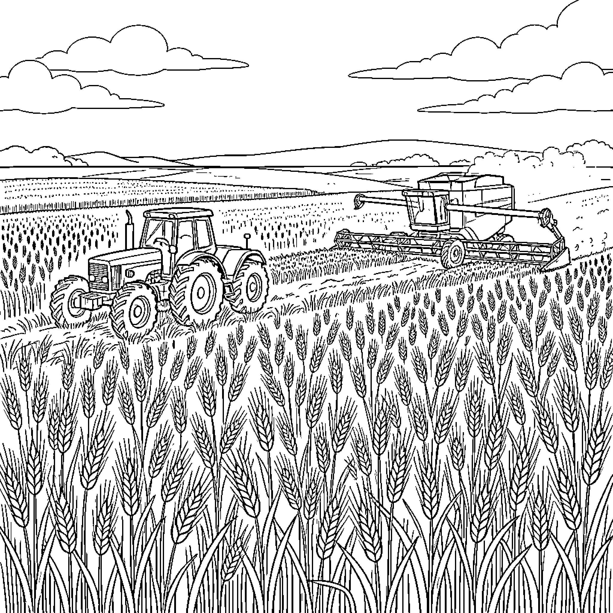Tractor and combine harvester working in a wheat field Coloring Page (free black-and-white line drawing printable PDF for all, from beginners to advanced learners, including children, teens, adults, and seniors)