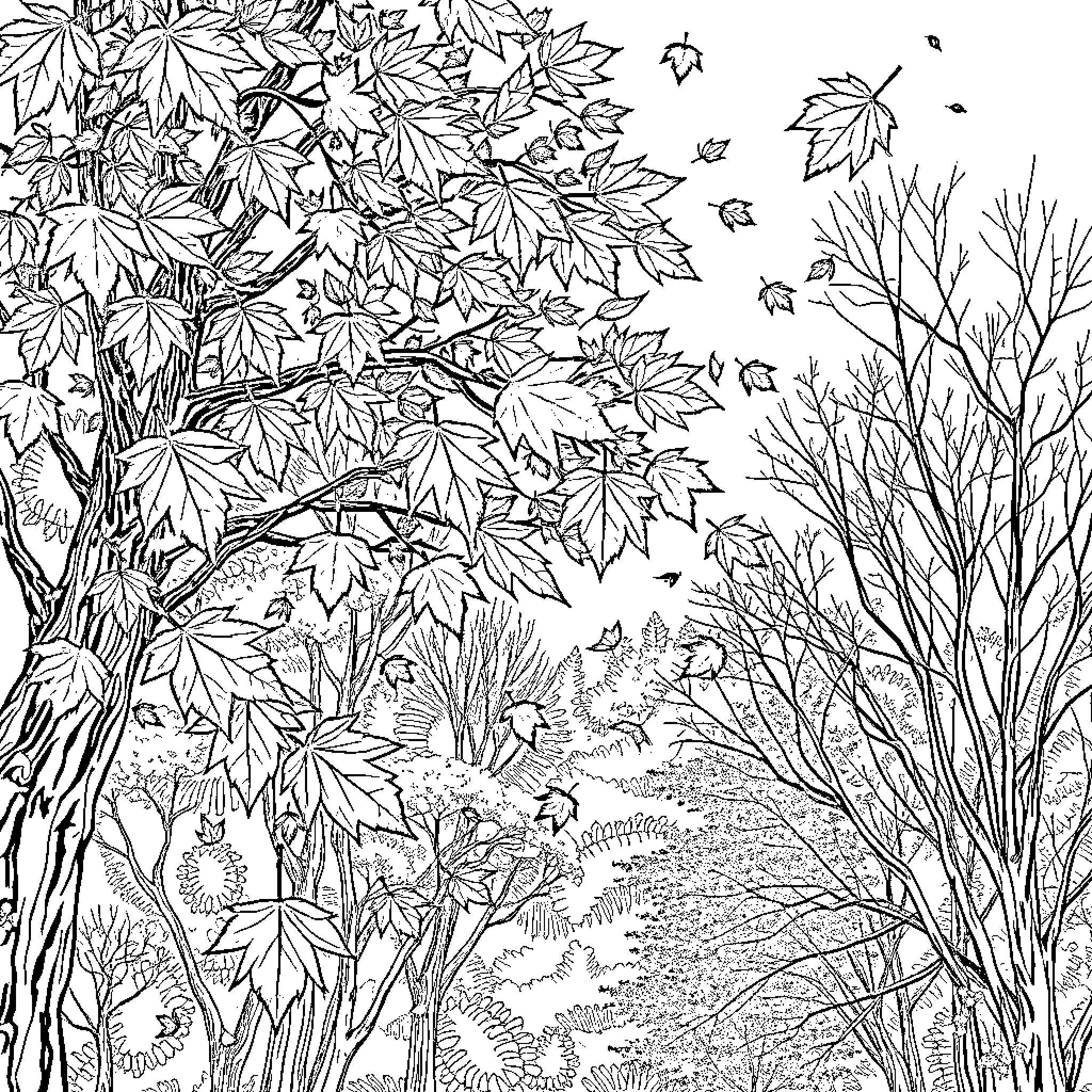 Autumn Foliage and Leafy Nature Scene Coloring Page (free black-and-white line drawing printable PDF for all, from beginners to advanced learners, including children, teens, adults, and seniors)