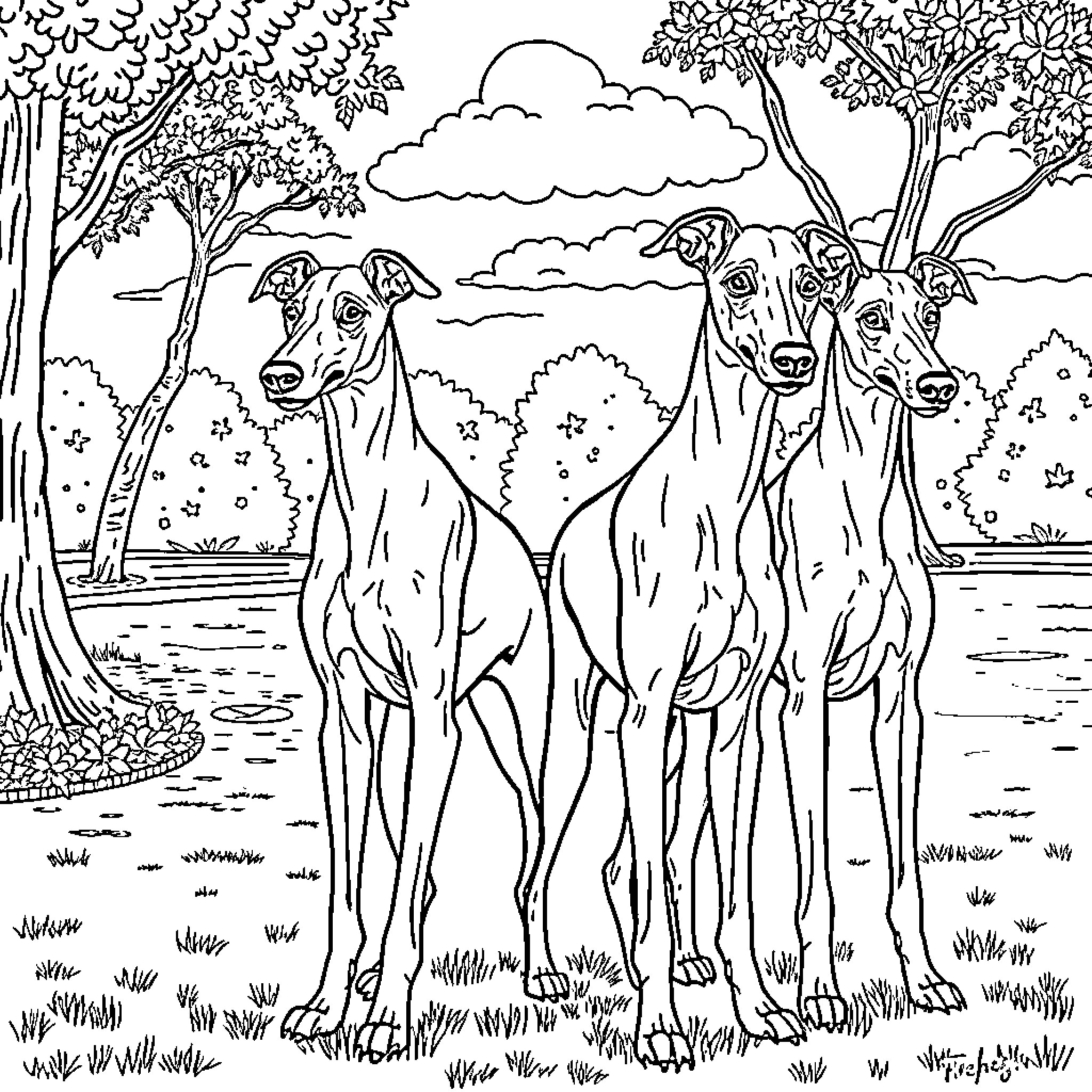 Italian Greyhound pack explores serene forest landscape Coloring Page (free black-and-white line drawing printable PDF for all, from beginners to advanced learners, including children, teens, adults, and seniors)