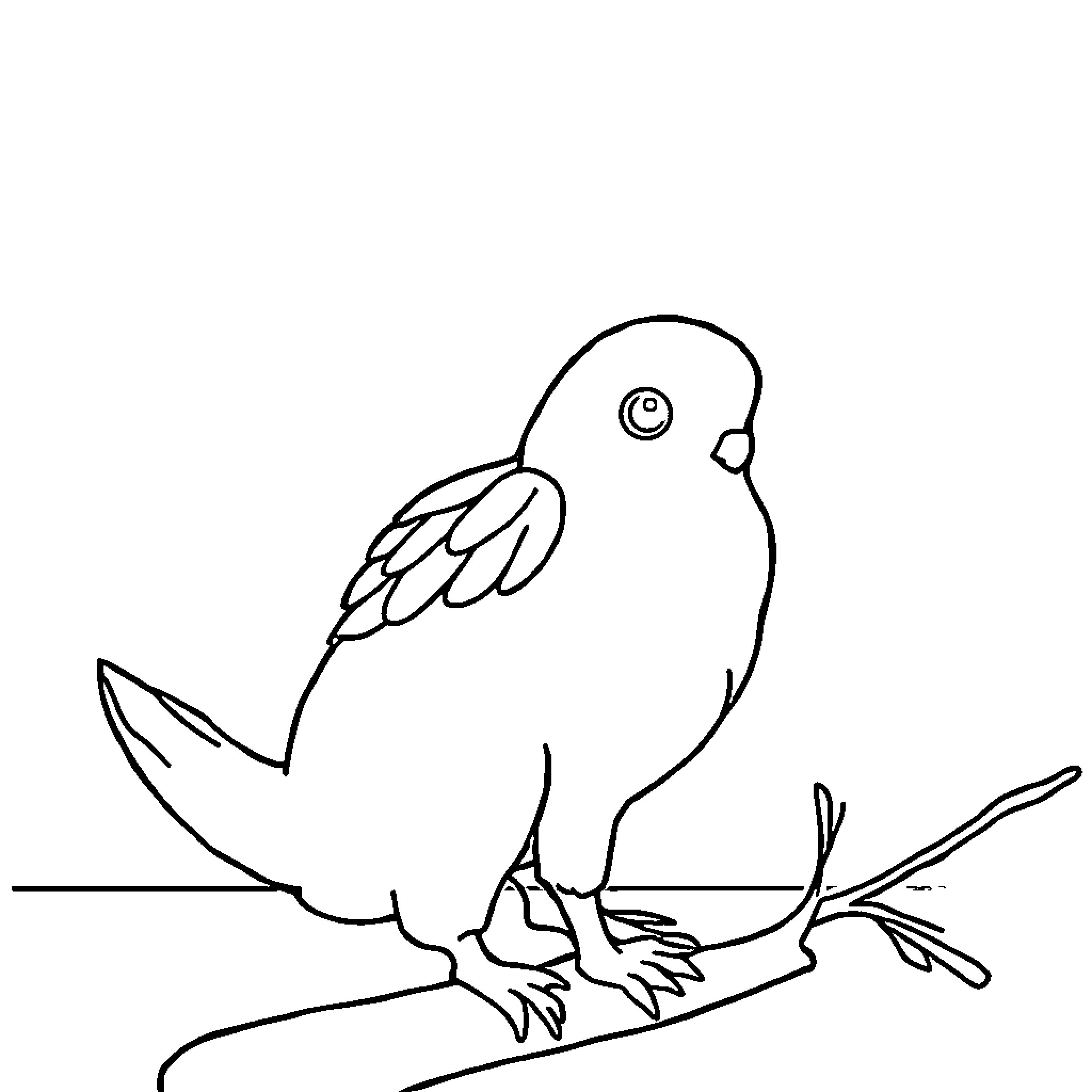 School Bird Drawing on Branch Coloring Page (free black-and-white line drawing printable PDF for all, from beginners to advanced learners, including children, teens, adults, and seniors)