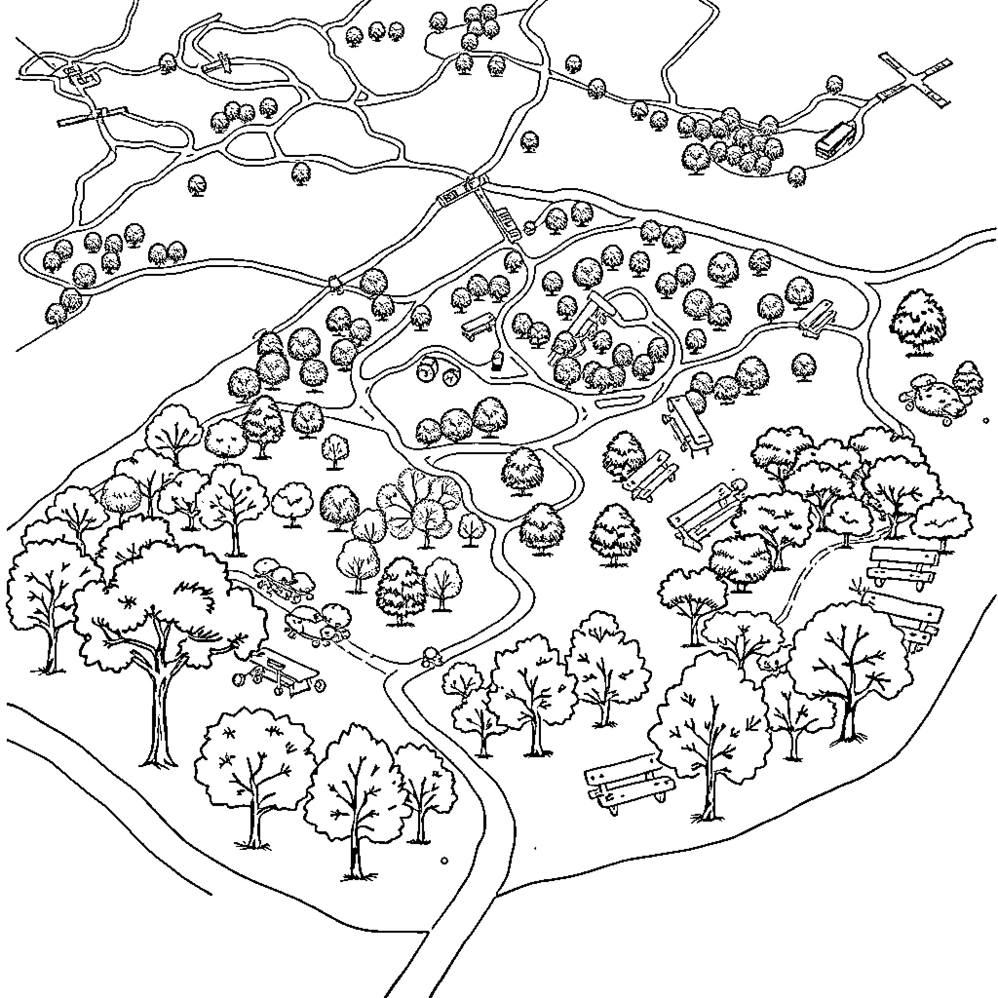 Map of whimsical forest landscape Coloring Page (free black-and-white line drawing printable PDF for all, from beginners to advanced learners, including children, teens, adults, and seniors)