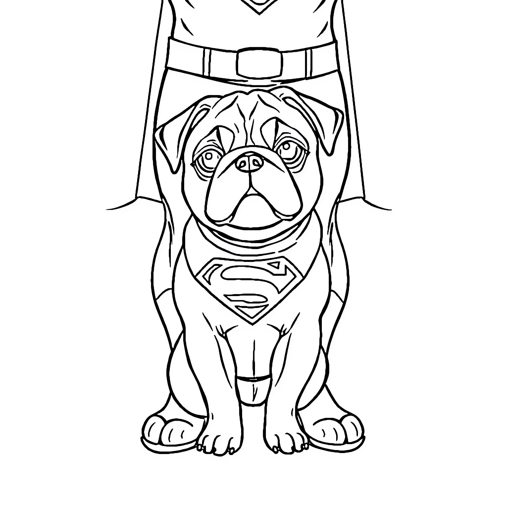 Pug superhero in costume and cape Coloring Page (free black-and-white line drawing printable PDF for all, from beginners to advanced learners, including children, teens, adults, and seniors)