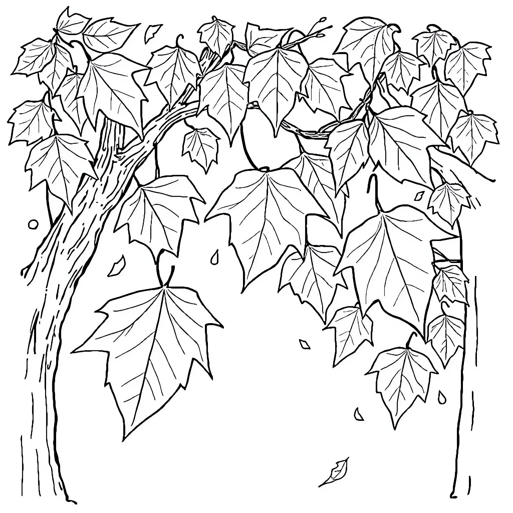 Leaf Branches with Falling Leaves Coloring Page (free black-and-white line drawing printable PDF for all, from beginners to advanced learners, including children, teens, adults, and seniors)