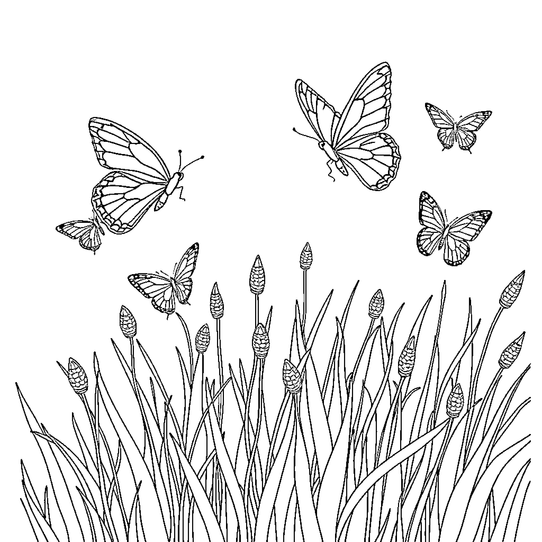 Butterflies Dancing in the Meadow Coloring Page (free black-and-white line drawing printable PDF for all, from beginners to advanced learners, including children, teens, adults, and seniors)