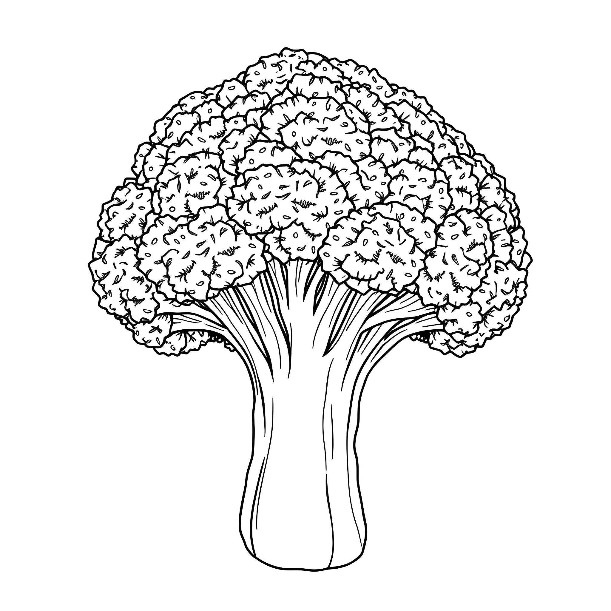 Broccoli florets in abstract artistic style Coloring Page (free black-and-white line drawing printable PDF for all, from beginners to advanced learners, including children, teens, adults, and seniors)