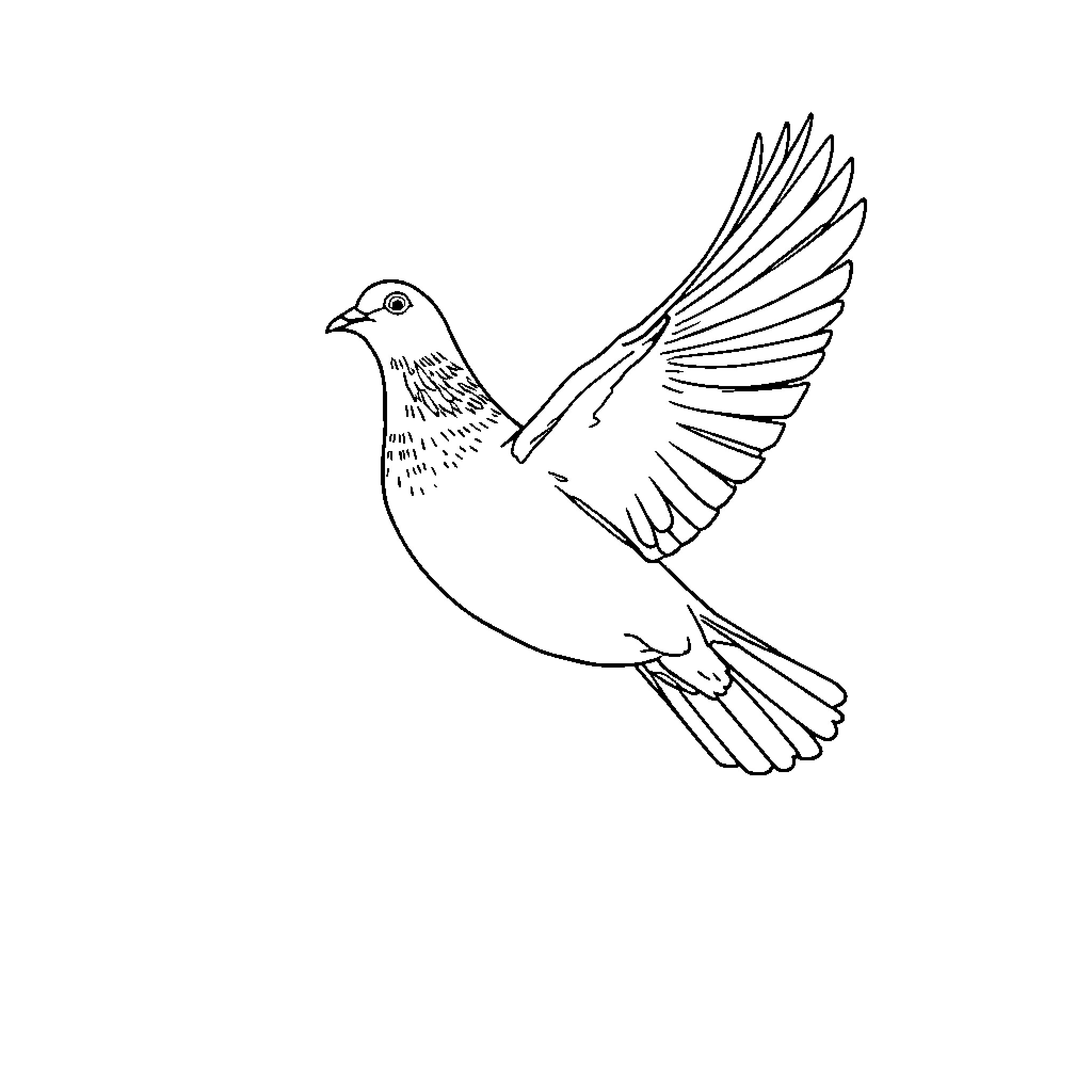 Pigeon in flight with outstretched wings Coloring Page (free black-and-white line drawing printable PDF for all, from beginners to advanced learners, including children, teens, adults, and seniors)