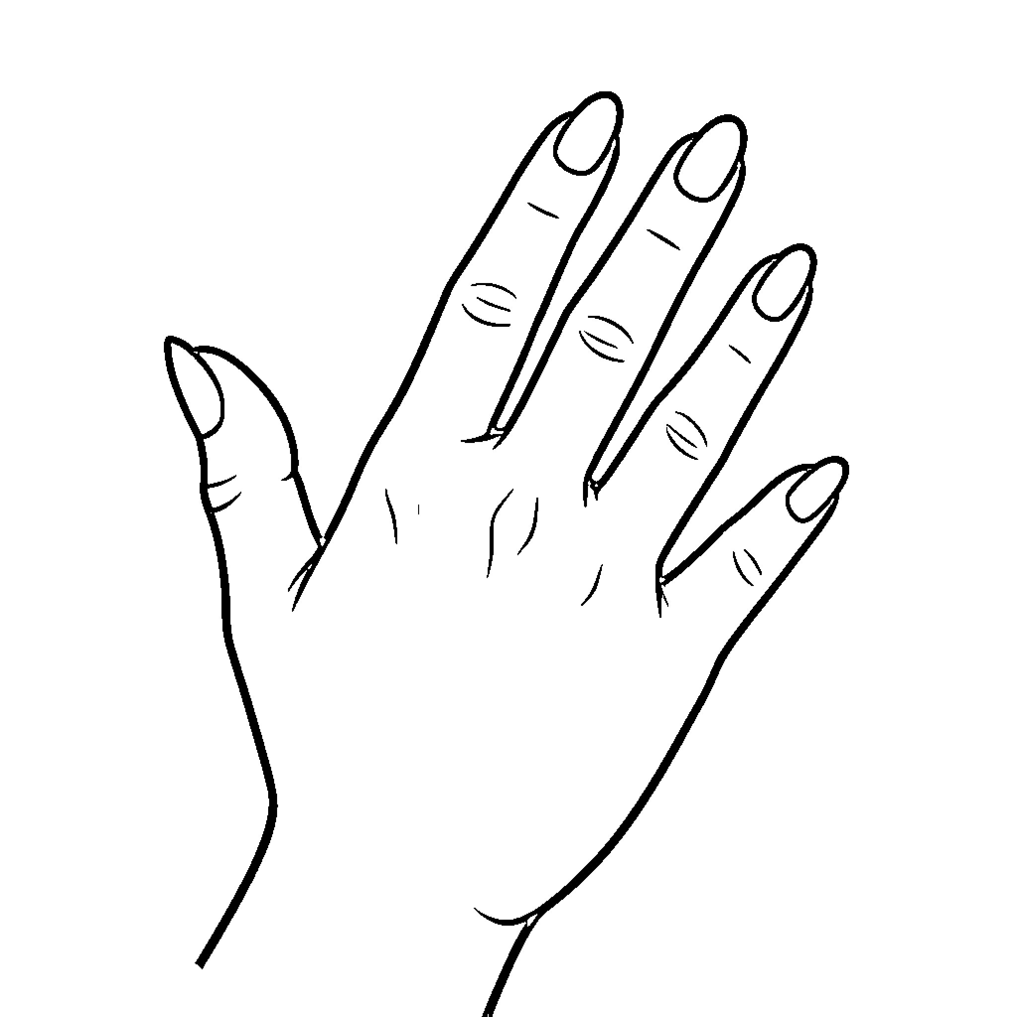 Mano showing an open palm with fingers spread Coloring Page (free black-and-white line drawing printable PDF for all, from beginners to advanced learners, including children, teens, adults, and seniors)